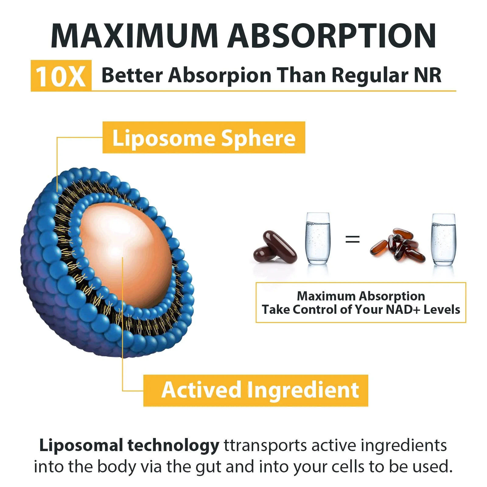 Orgabay Liposomal Nicotinamide Riboside 2000 MG with TMG & Pterostilbene | NAD+ Support, 240 Count - Image 4
