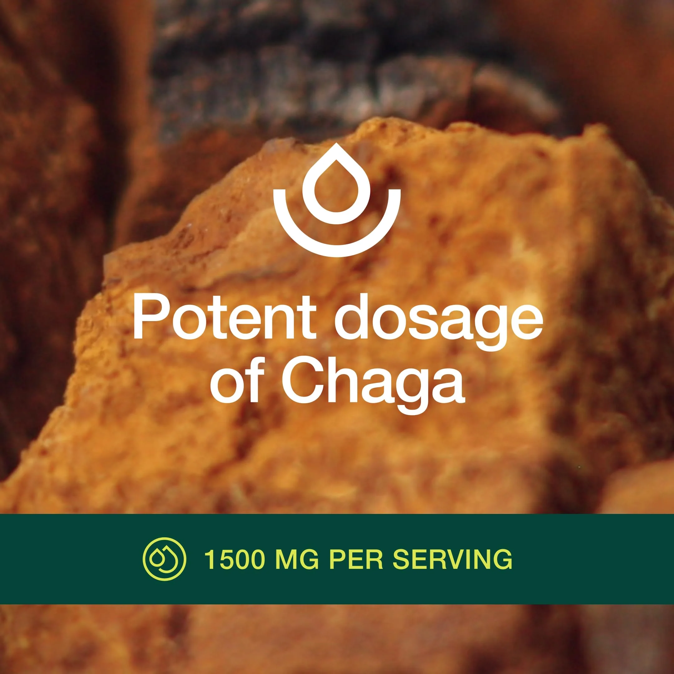 Organic Chaga Mushrooms – DNA Verified 1500mg per Serving – Non-GMO, Gluten & Soy Free, Vegan (Pack of 2) - Image 5
