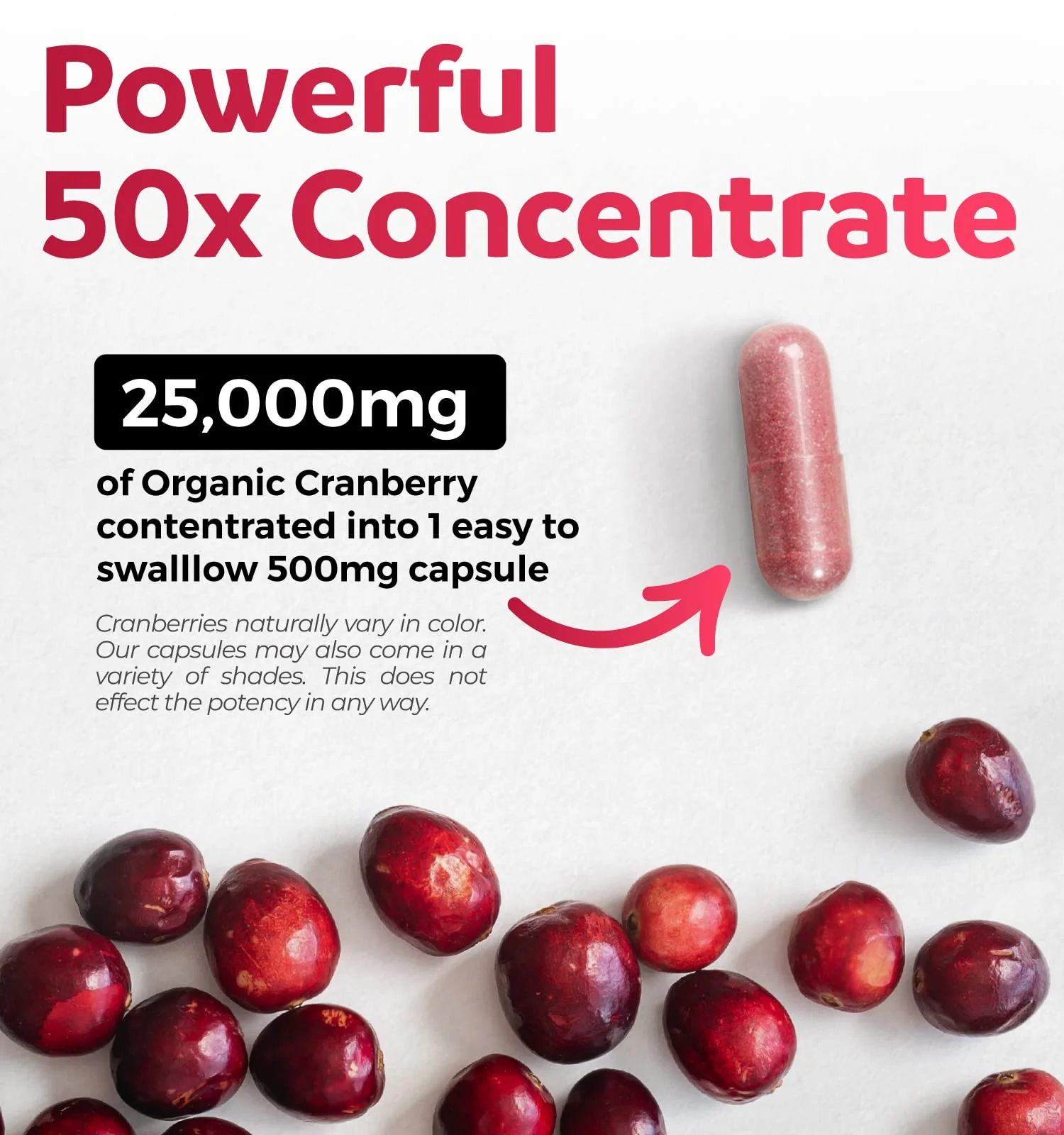 Organic Cranberry Extract Capsules — 50X Potency Cranberry Pills (4 Month Supply) — Vegan, Non-GMO, USDA Organic - Image 2