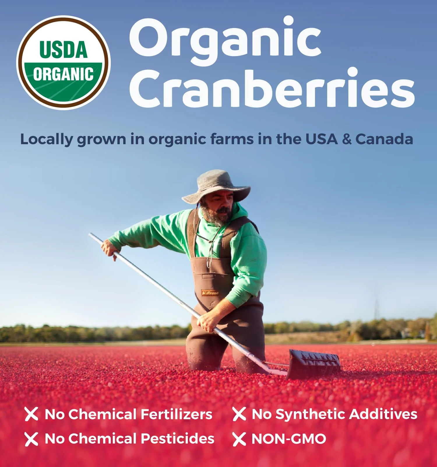 Organic Cranberry Extract Capsules — 50X Potency Cranberry Pills (4 Month Supply) — Vegan, Non-GMO, USDA Organic - Image 4