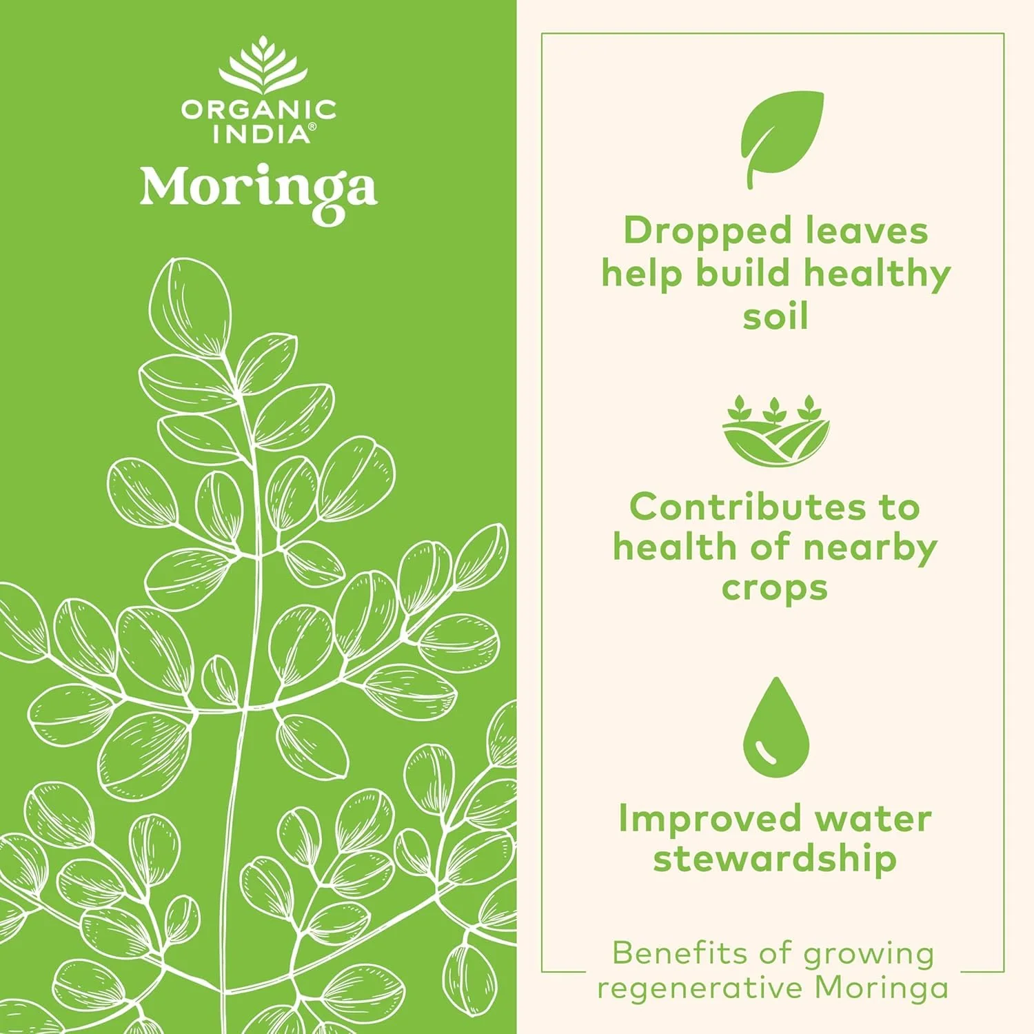 Organic India Moringa Powder – Moringa Oleifera Leaf Green Superfood, 2-Pack, USDA Organic - Image 6