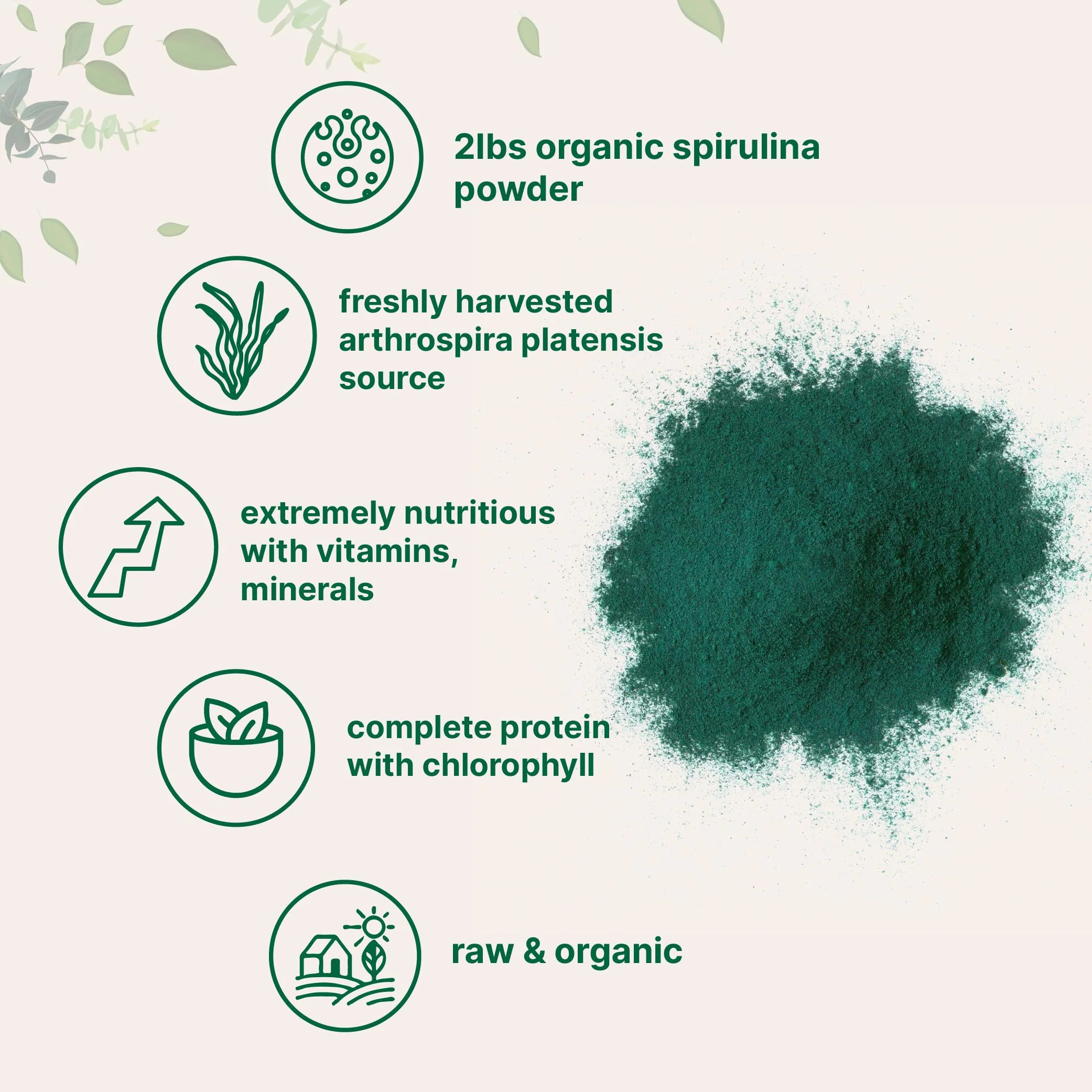Organic Spirulina Powder 2lbs | Raw Blue-Green Algae | Vegan Protein & Antioxidants | Non-GMO & Filler-Free - Image 3