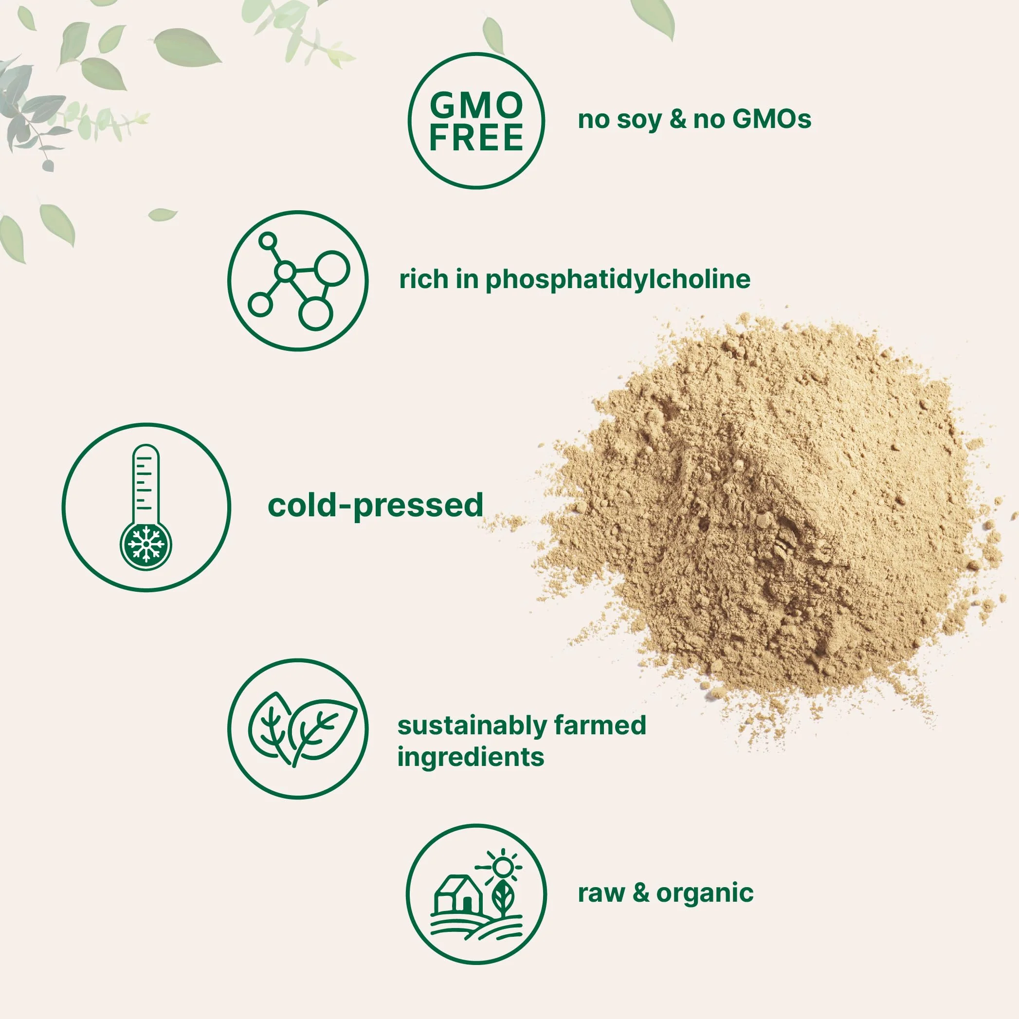 Organic Sunflower Lecithin Powder – 1 lb, Cold Pressed & Non-GMO - Image 4