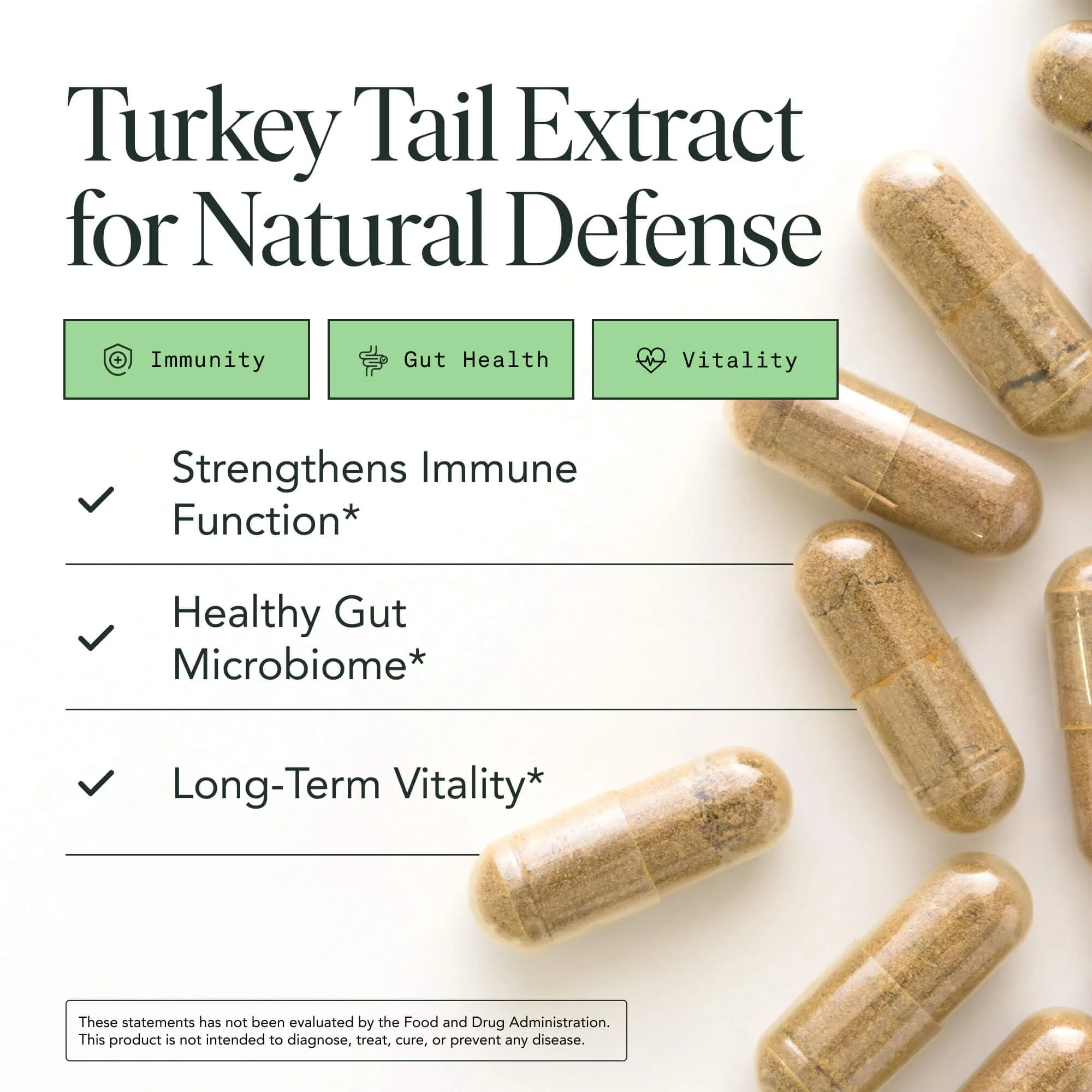Organic Turkey Tail Mushroom Capsules – Immune & Gut Health (120 Caps, Vegan) - Image 2