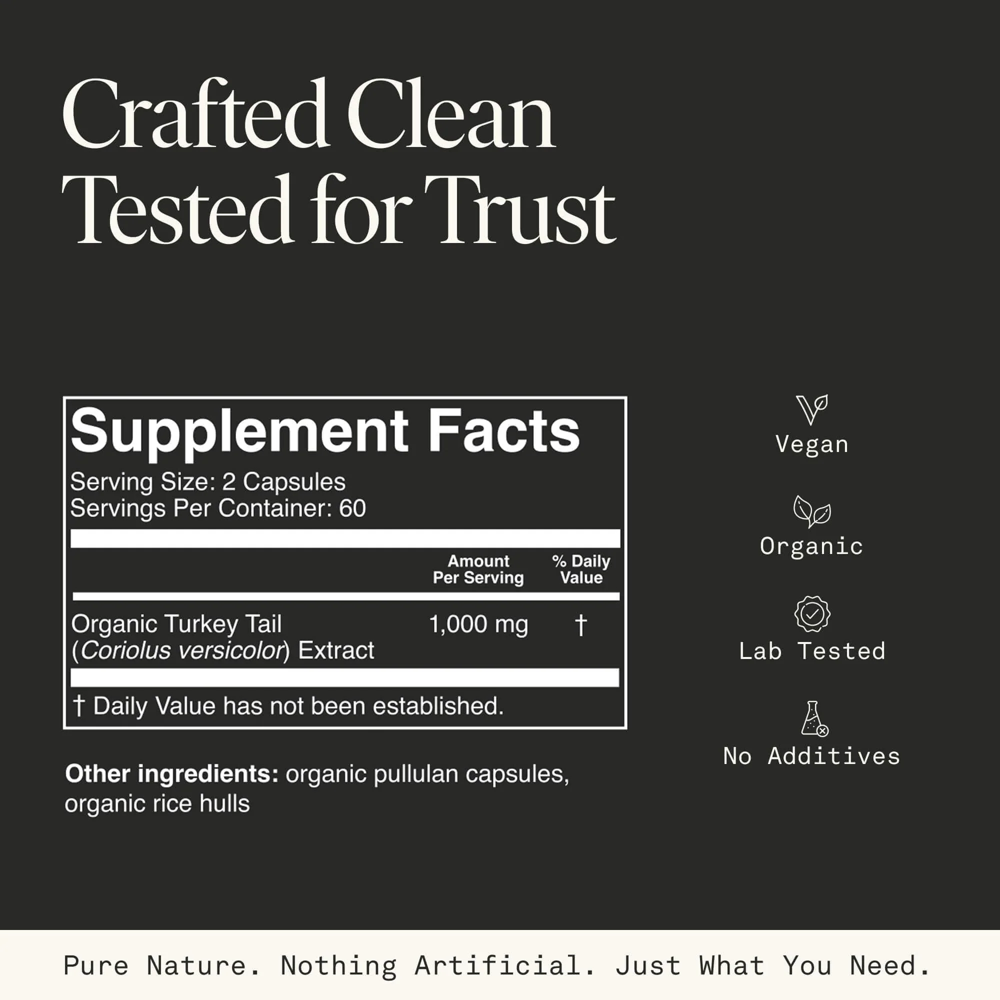 Organic Turkey Tail Mushroom Capsules – Immune & Gut Health (120 Caps, Vegan) - Image 3