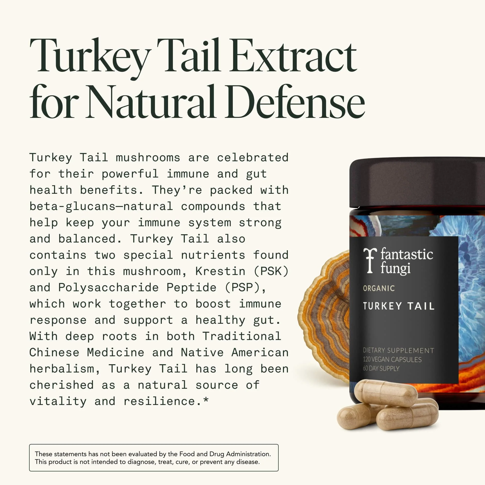Organic Turkey Tail Mushroom Capsules – Immune & Gut Health (120 Caps, Vegan) - Image 4