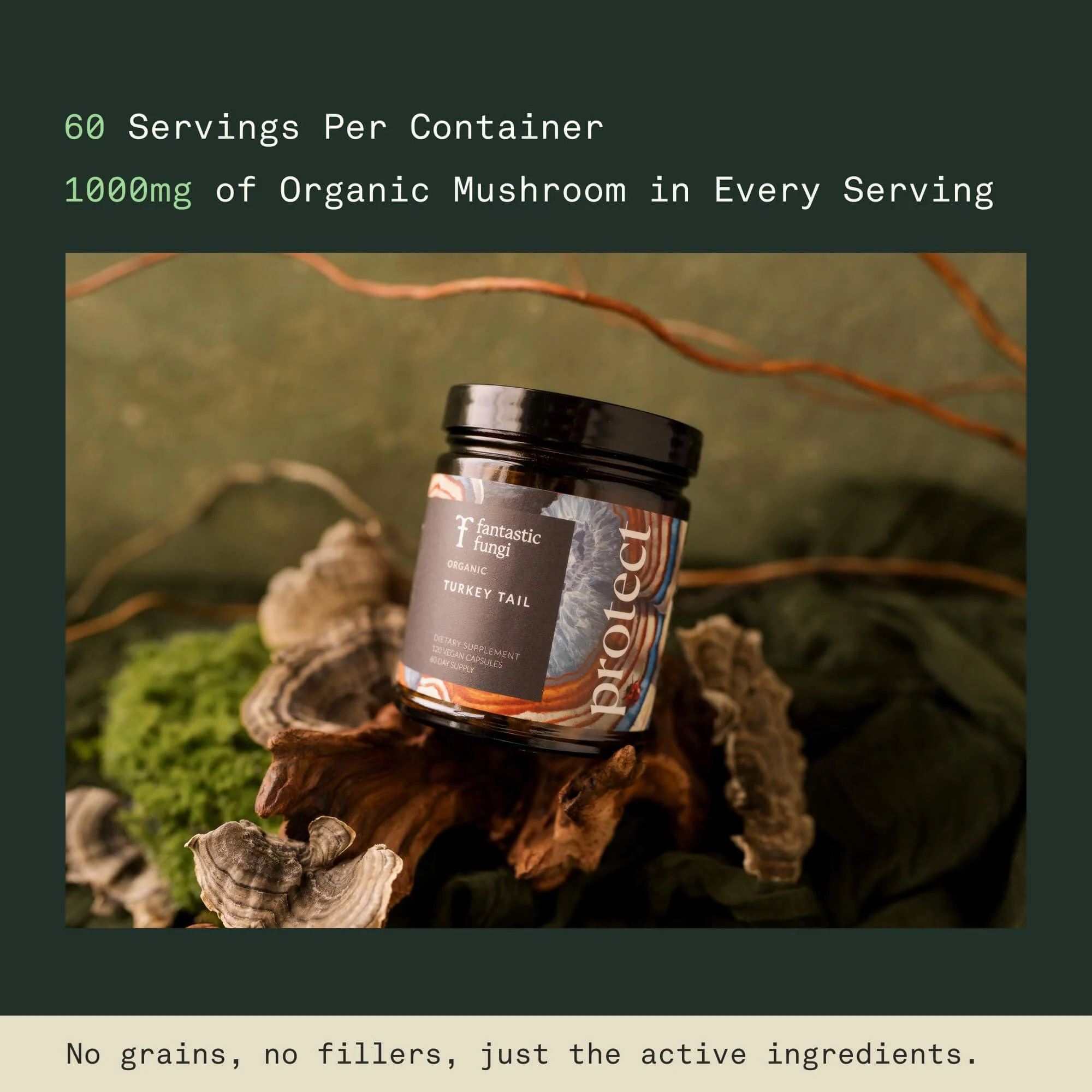 Organic Turkey Tail Mushroom Capsules – Immune & Gut Health (120 Caps, Vegan) - Image 5