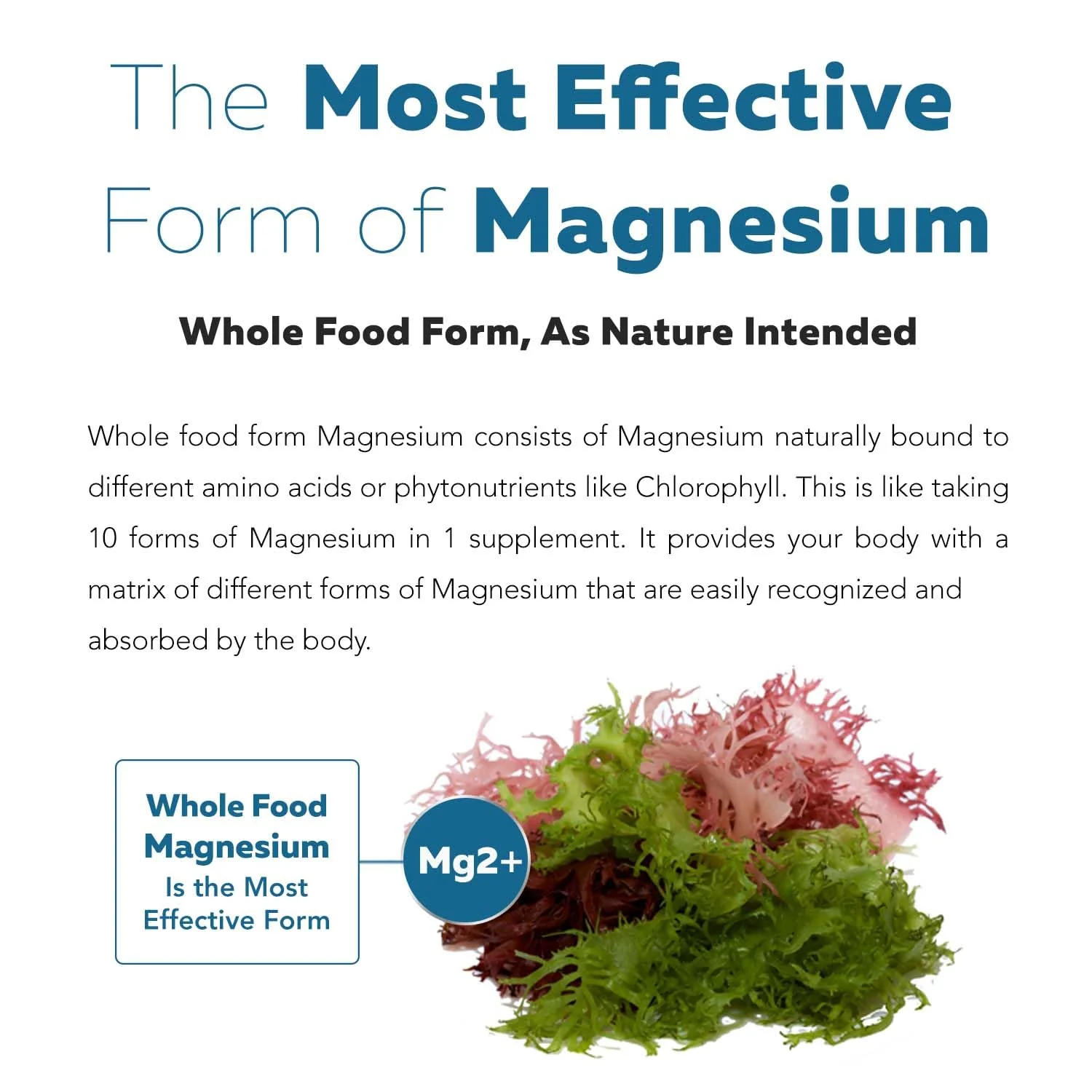 Organic Whole Food Magnesium Supplement - Plant-Based Sea Vegetable Complex, 250 mg per Serving | 60 Capsules - Image 4
