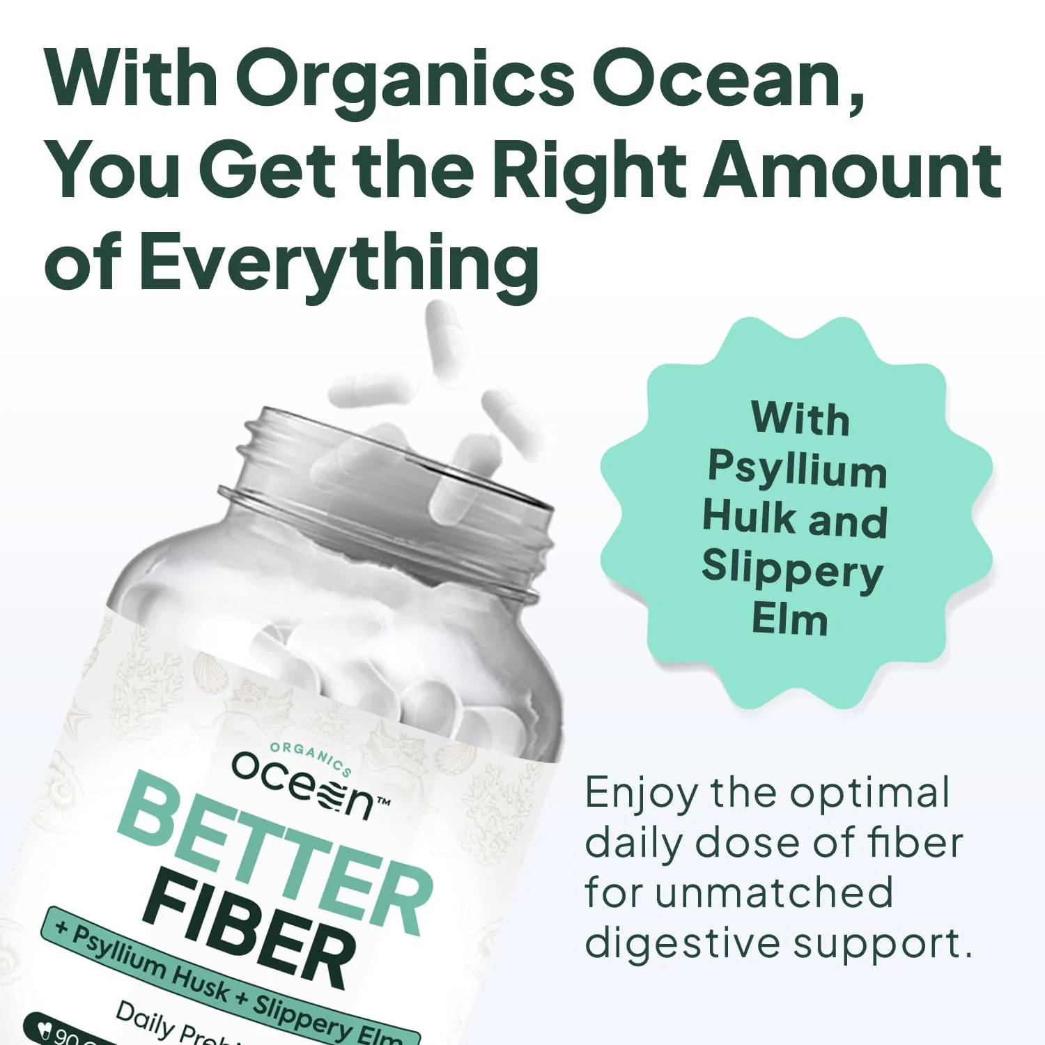 Organics Ocean Better Fiber - Daily Fiber Supplement for Softer Stool - 90 Capsules - Image 3