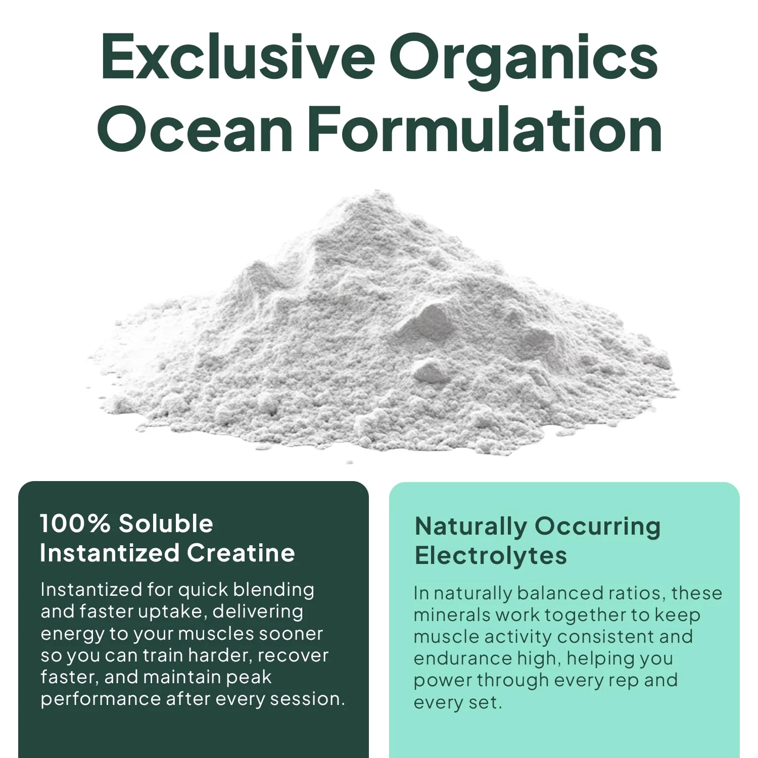 Organics Ocean Krealyte Fusion: Instantized Creatine Monohydrate + Electrolytes, Pink Lemonade, 30 Servings - Image 5