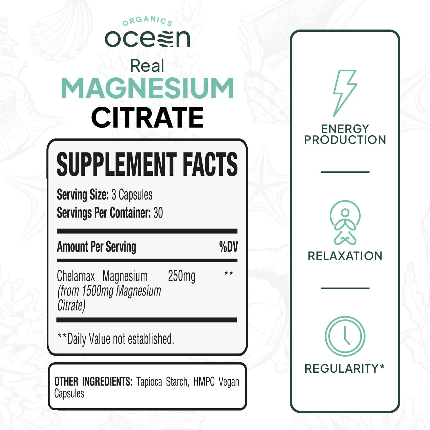Organics Ocean Real Magnesium Citrate – High-Absorption Chelated Magnesium for Energy, Relaxation, and Regularity – 6 Pack - Image 2