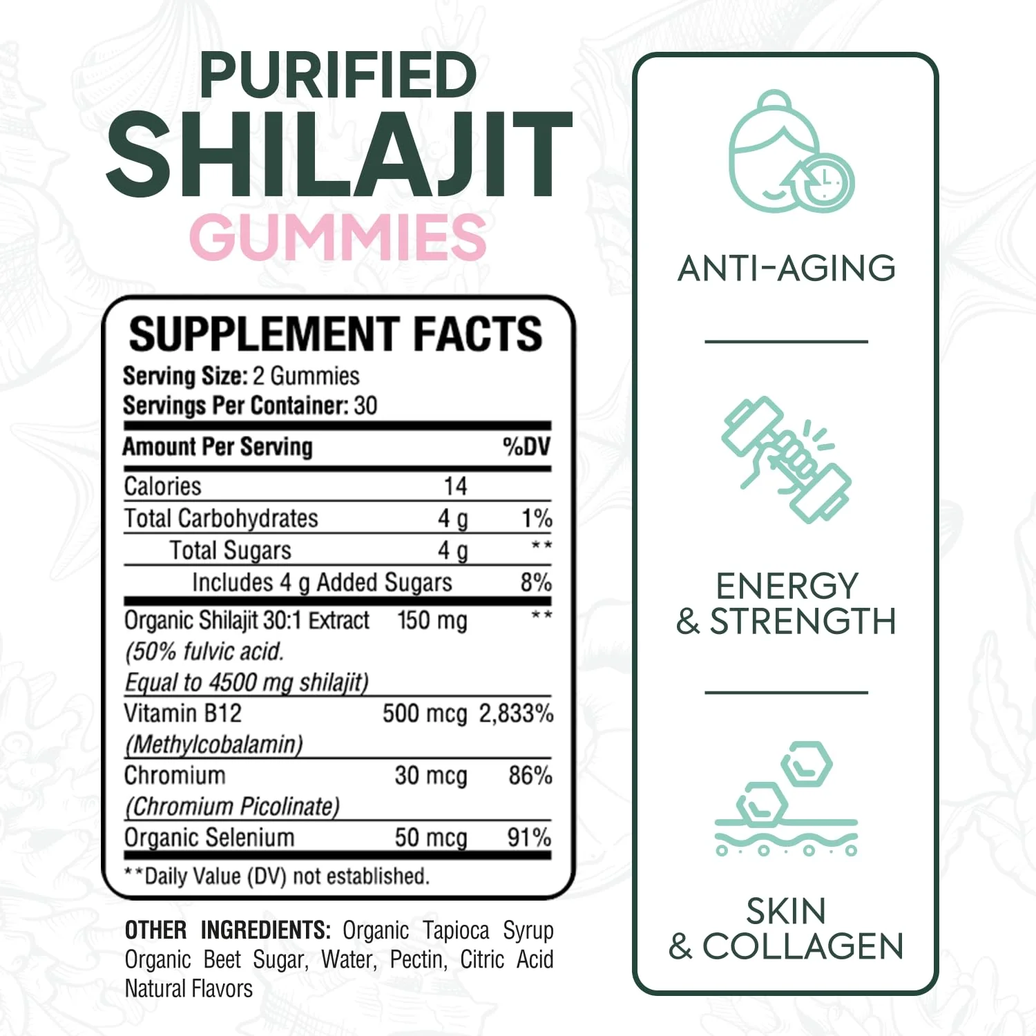 Organics Ocean Shilajit Gummies – Pumpkin Cocoa, 60 Gummies - Image 3