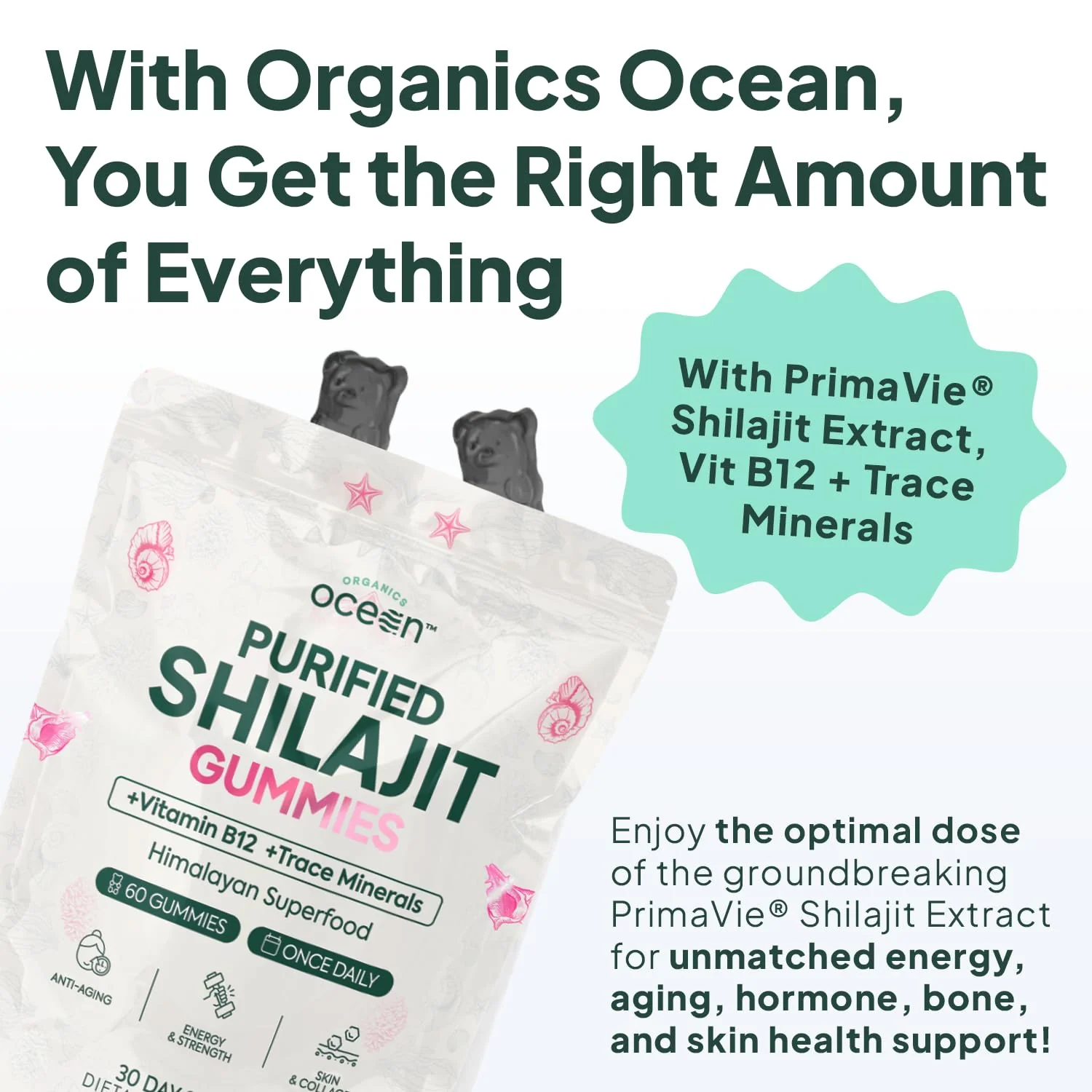 Organics Ocean Shilajit Gummies – Pumpkin Cocoa, 60 Gummies - Image 4