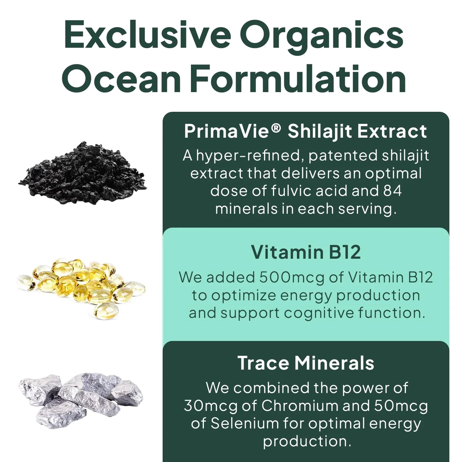 Organics Ocean Shilajit Gummies – Pumpkin Cocoa, 60 Gummies - Image 5