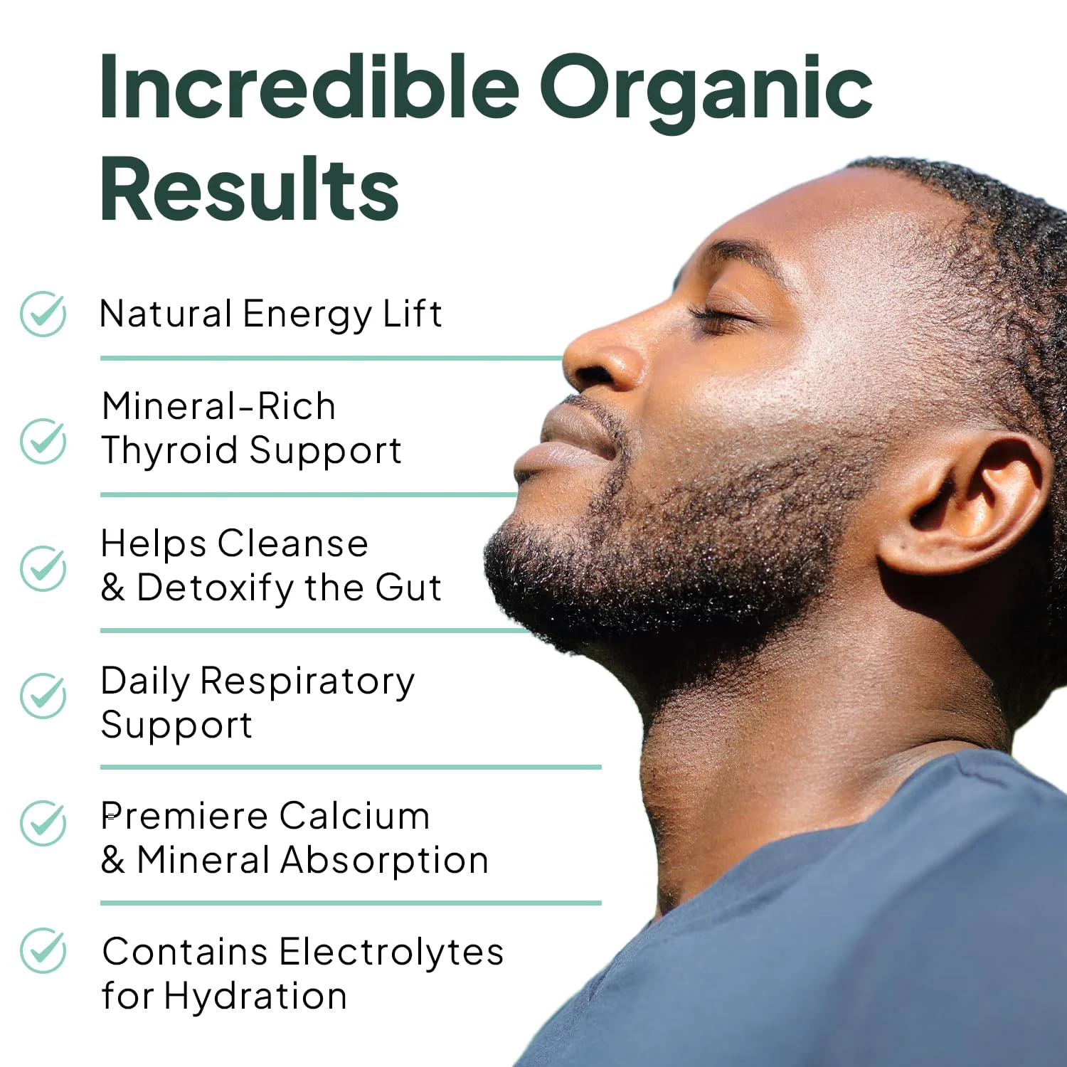 Organics Ocean Wild Sea Moss Capsules – Organic Irish Sea Moss, Chlorella, Bladderwrack & Vitamin D3 (3 Bottles) - Image 11