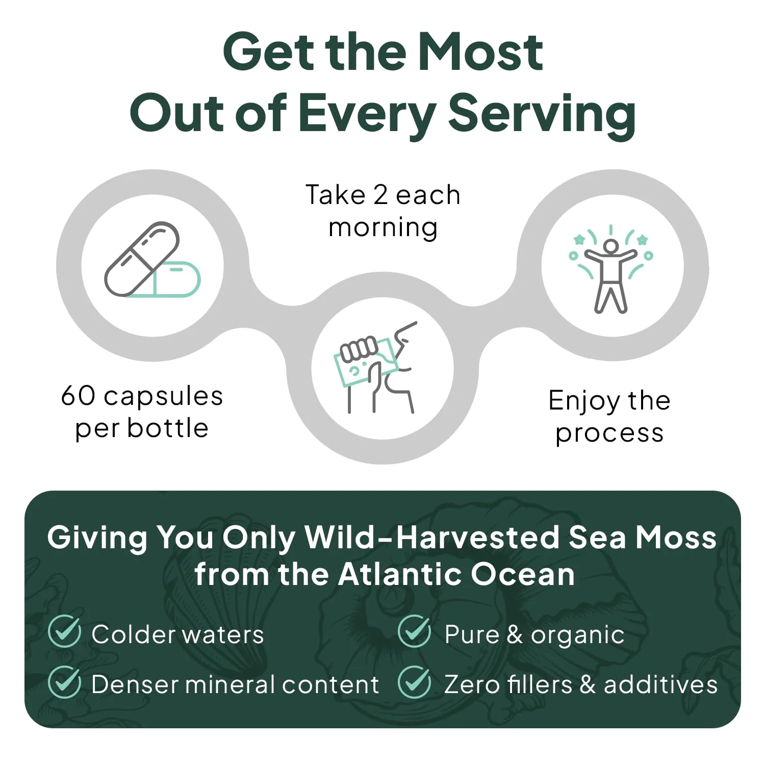 Organics Ocean Wild Sea Moss Capsules – Organic Irish Sea Moss, Chlorella, Bladderwrack & Vitamin D3 (3 Bottles) - Image 14