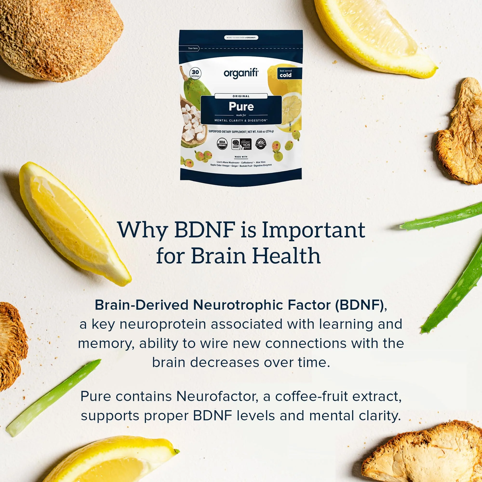 Organifi Pure – Brain Support, Focus & Clarity (Gluten-Free, Non-GMO) • 30 Servings - Image 5