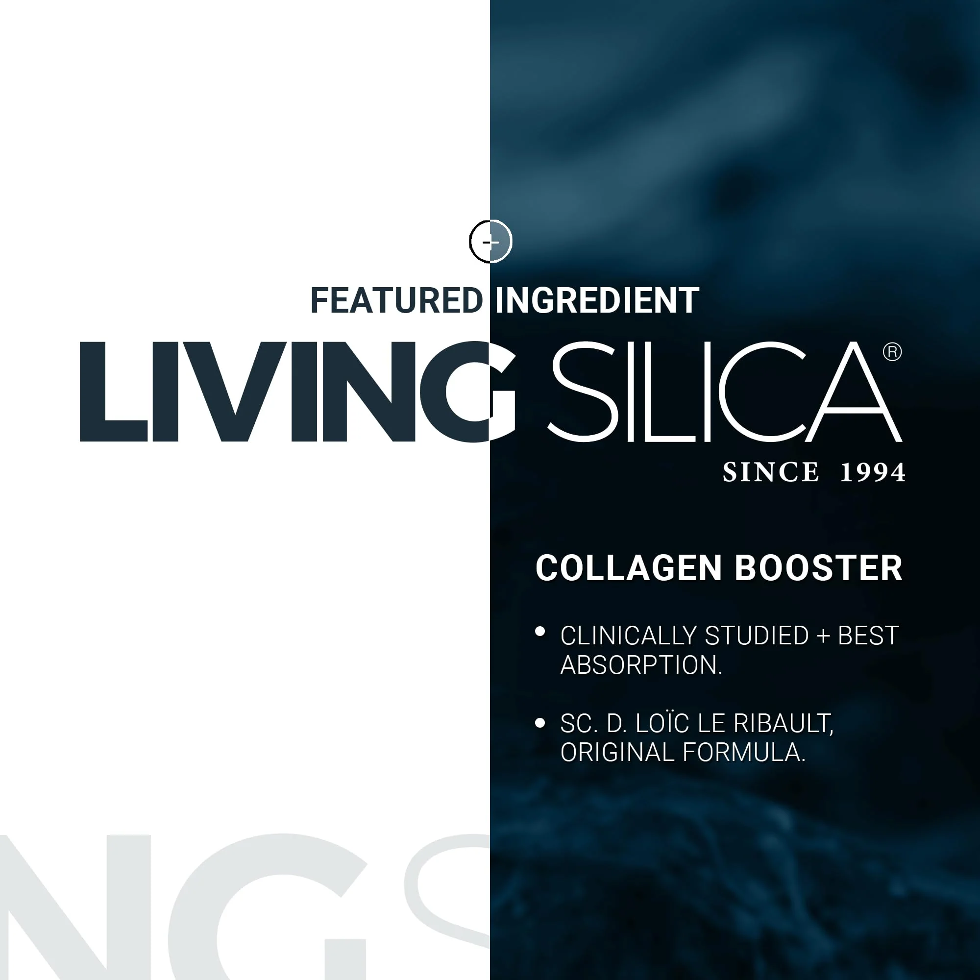 Orgono Living Silica Mineral-Based Collagen Booster Capsules | Supports Collagen, Skin & Joints | 60 Capsules - Image 7