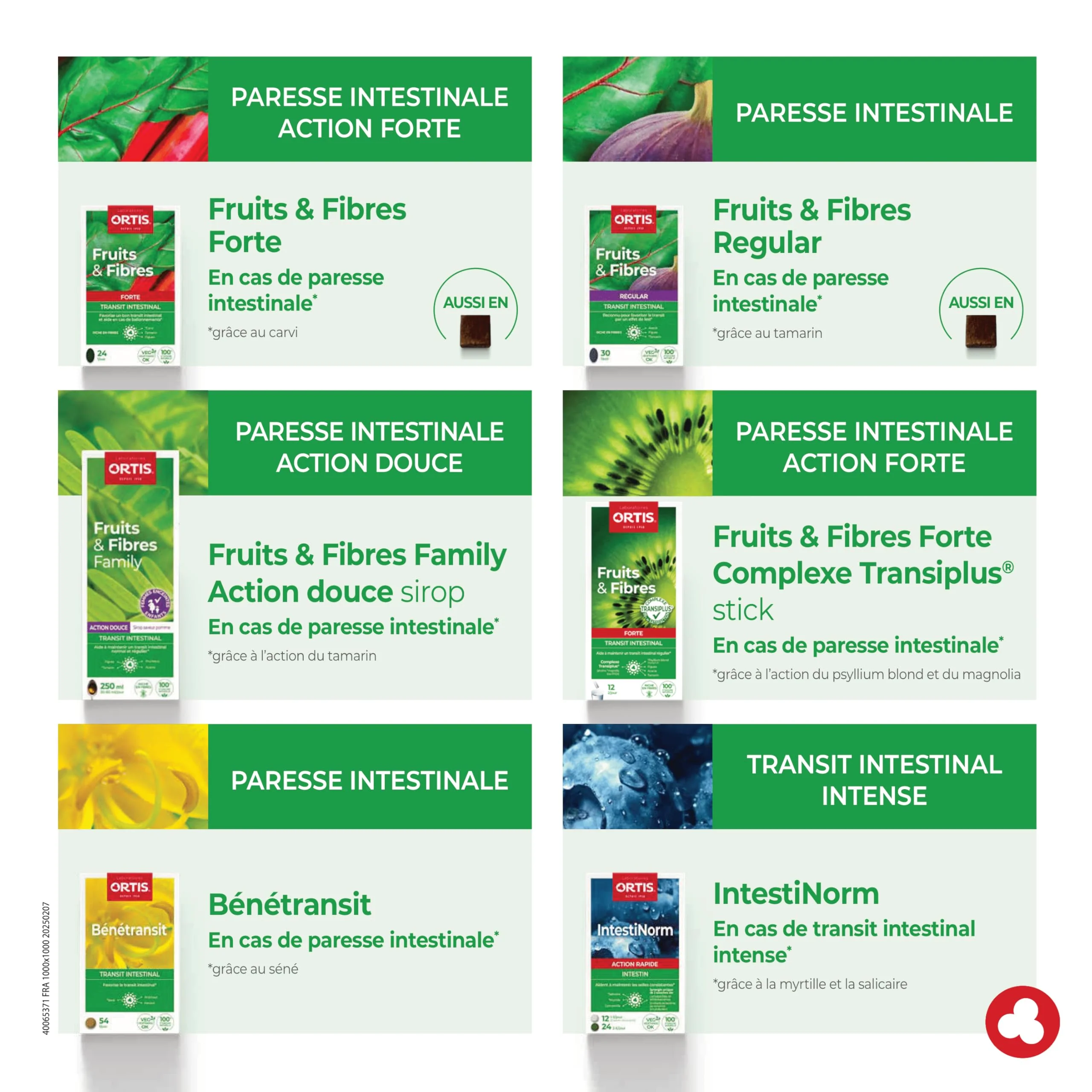 Ortis Fruits & Fibres Regular 45 Squares to Chew – Nutritional Supplement - Image 8