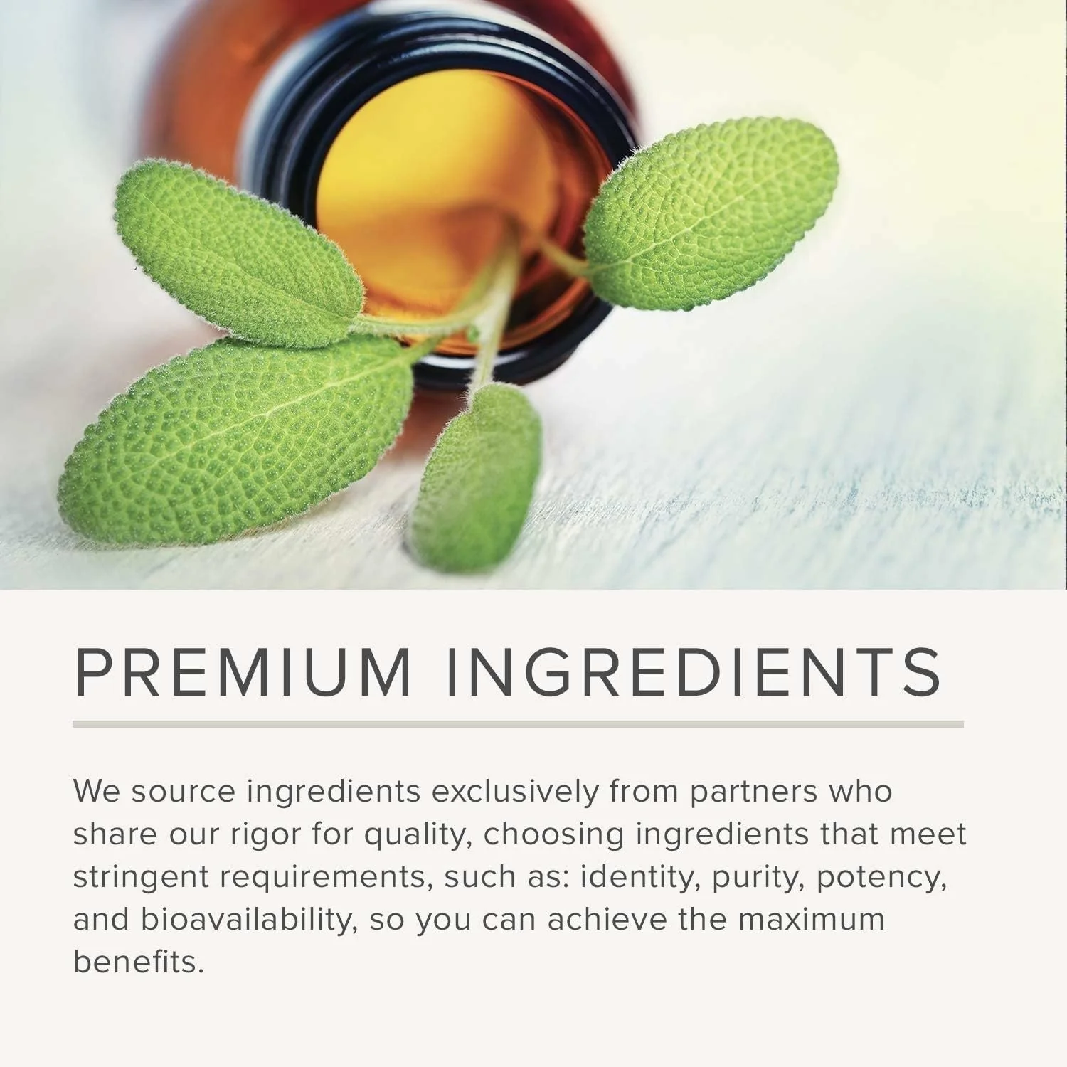 Osteoprime Forte Calcium for Bone Health | Integrative Therapeutics | 120 Capsules - Image 5
