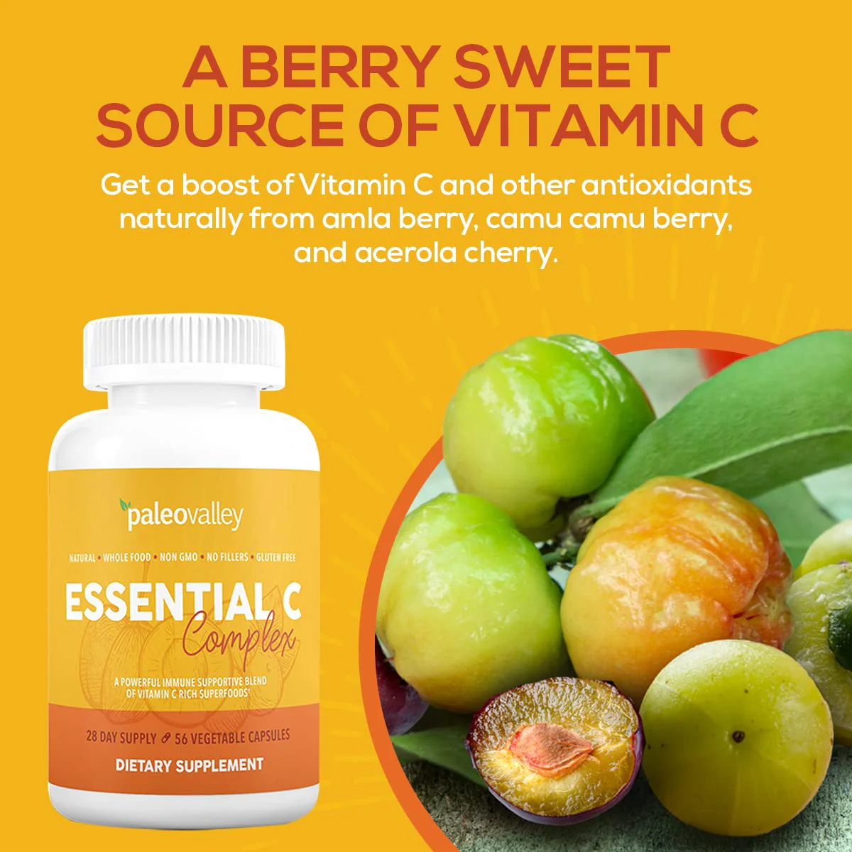 Paleovalley Essential C Complex – Organic Vitamin C from Acerola, Camu Camu & Amla – USA Made - Image 11
