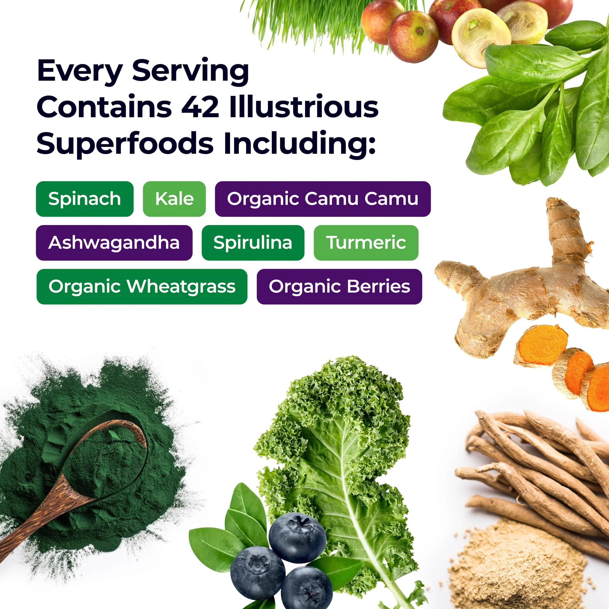 Paradise Herbs ORAC Energy Greens Powder — Antioxidant Power of 24 Fruits & Veggies in 1 Scoop | 120 Servings - Image 11