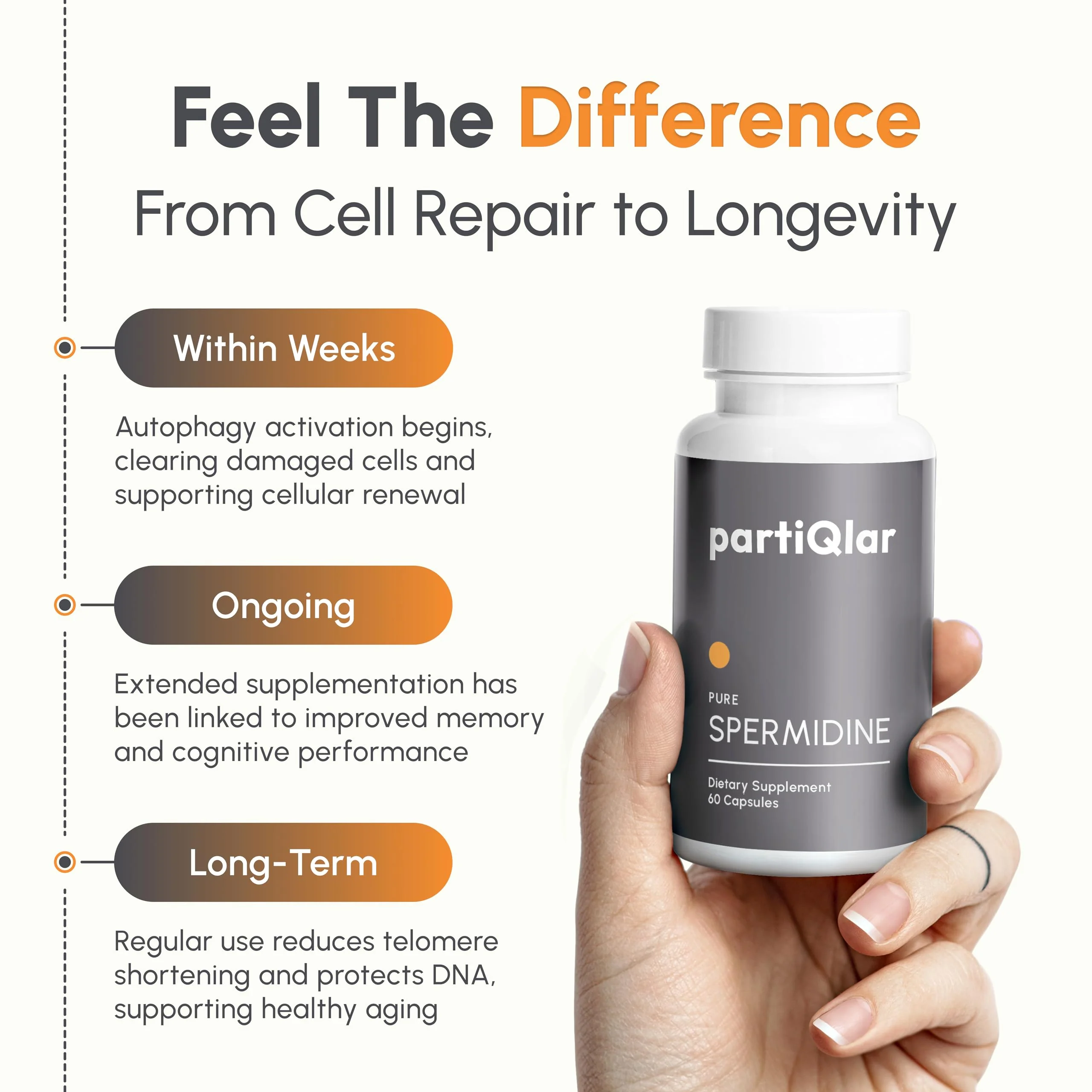 partiQlar Spermidine Supplement – 99% Purity, 8 mg per Capsule, 60 Capsules – Made in USA - Image 17