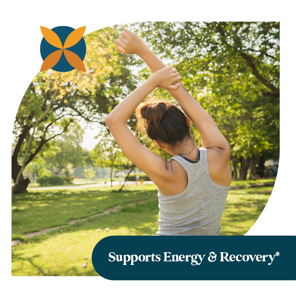 Pattern Wellness Ashwagandha Complex - Organic KSM-66 & Black Pepper - Stress Response & Energy Balance - 360 Vegan Capsules - Image 7