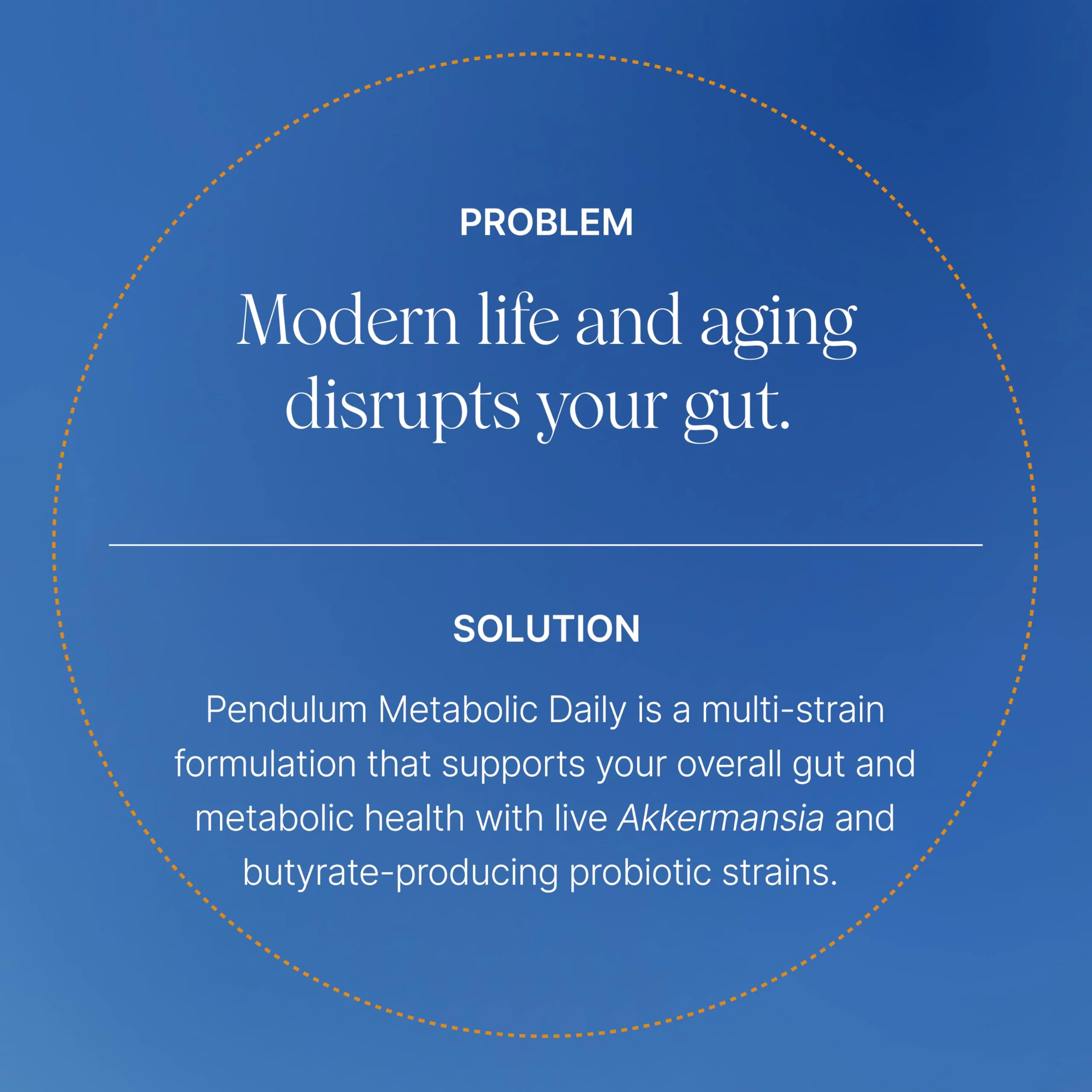 Pendulum Metabolic Daily – Multi-Strain Probiotic with Akkermansia muciniphila | Metabolism & Energy | 90 Capsules - Image 11