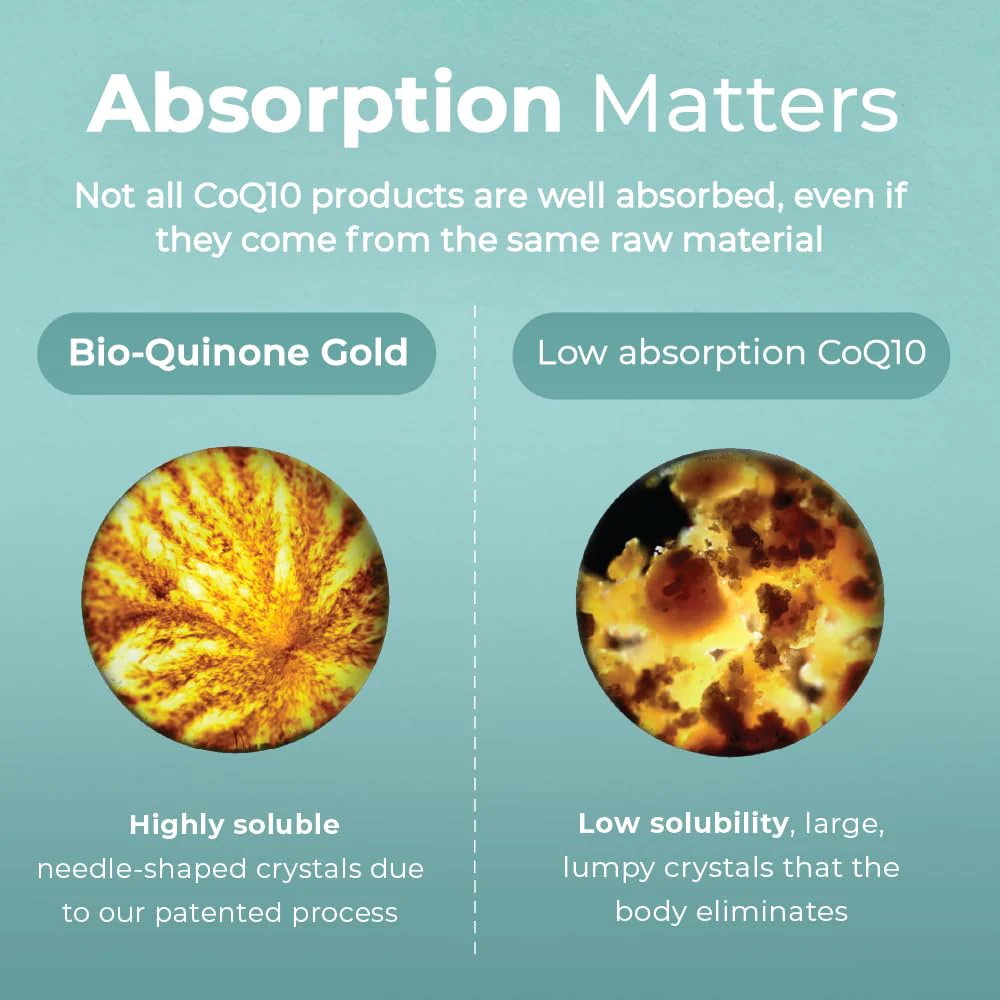 Pharma Nord Bio-Quinone Gold Coenzyme Q10 100mg | The Original CoQ10, High Absorption, 60 Softgels - Image 12