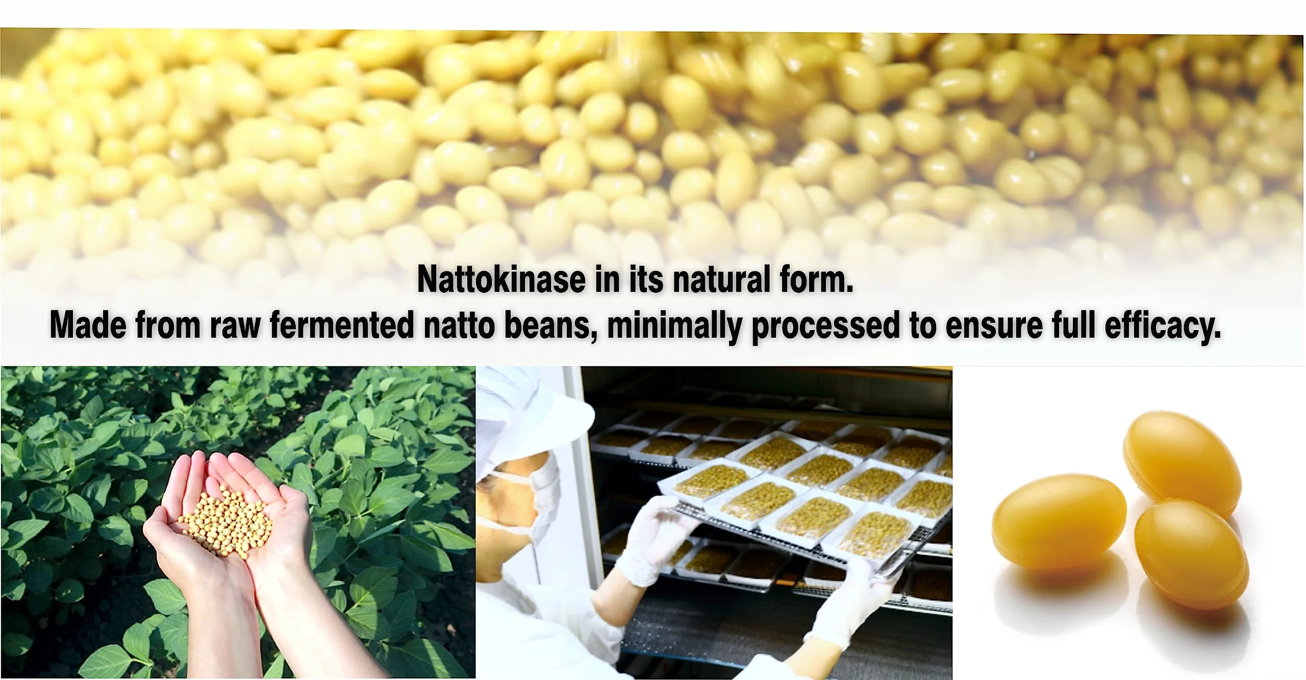 PHARMAKON Natural Nattokinase Organic Fermented Soybean Extract, 6000 FUs per Serving - Image 8