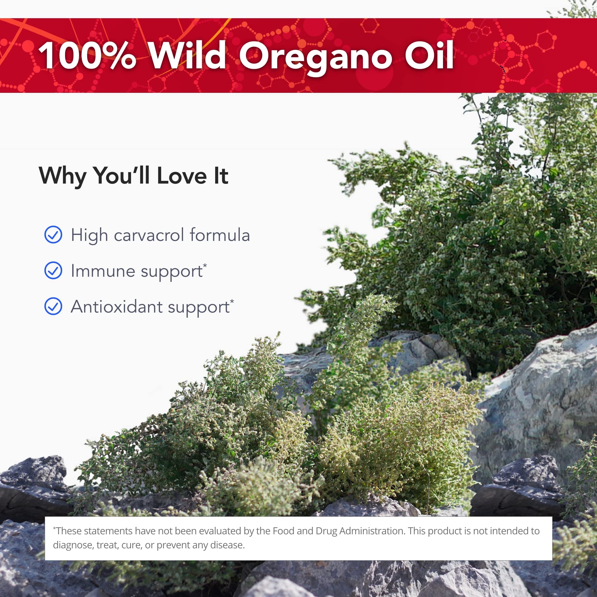 Physician's Strength OregaWild – 30 mL 100% Wild Oregano Oil | 432 Servings - Image 3