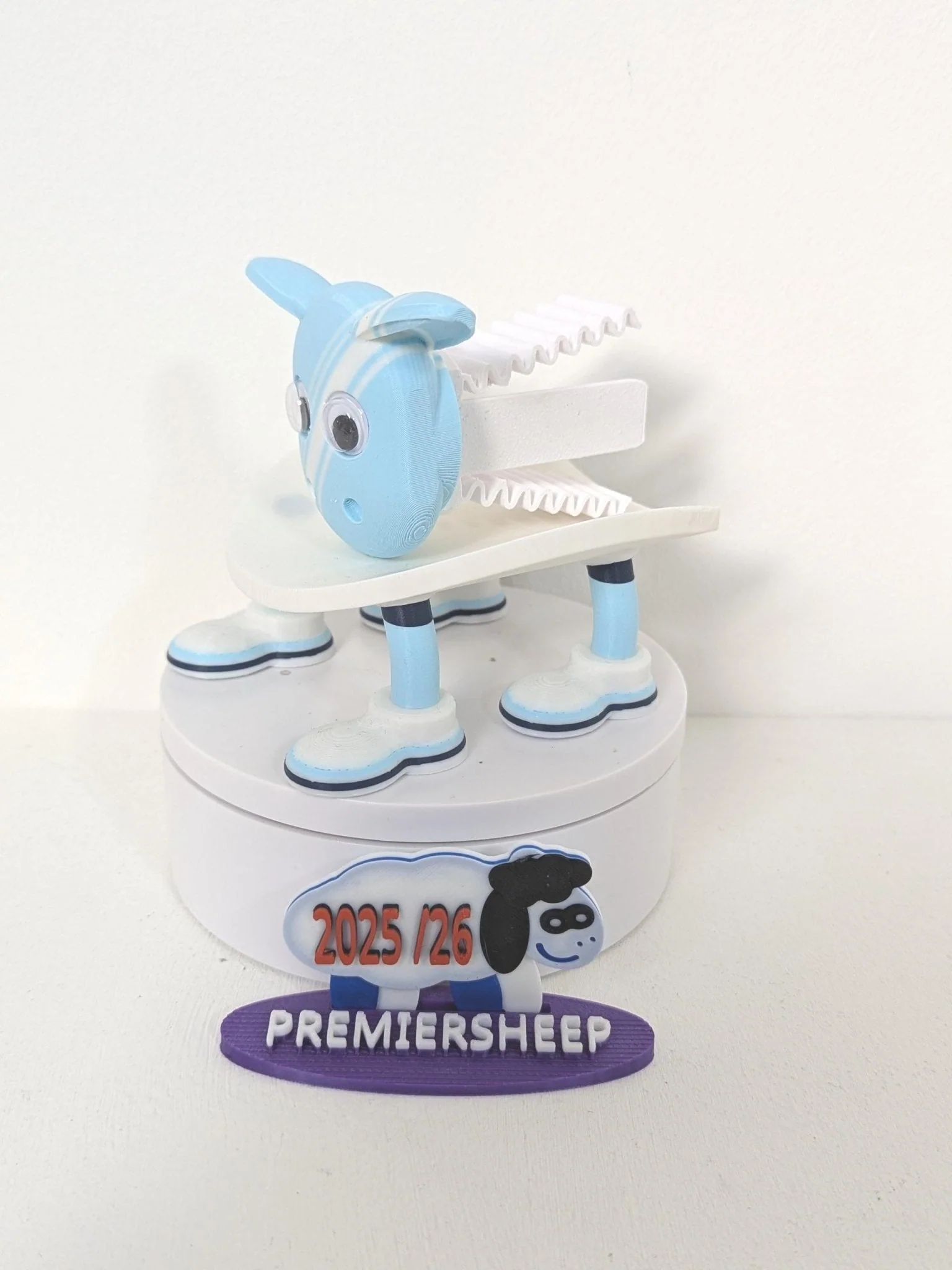 Premiersheep Manchester City Toilet Roll Holder β New 2025/26 Football Fan Gift β Universal Fit β Custom Boots - Image 2