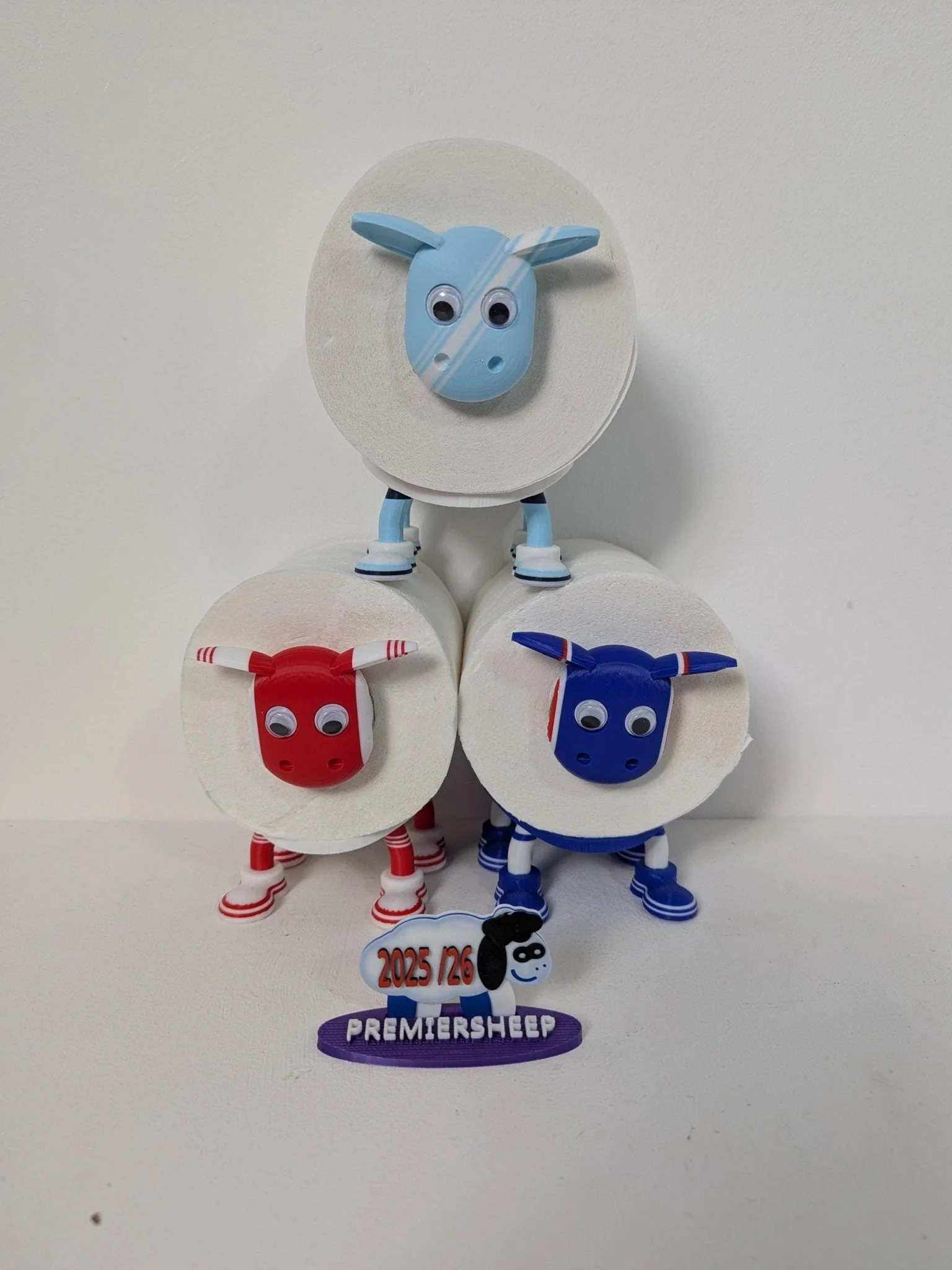 Premiersheep Manchester City Toilet Roll Holder β New 2025/26 Football Fan Gift β Universal Fit β Custom Boots - Image 3