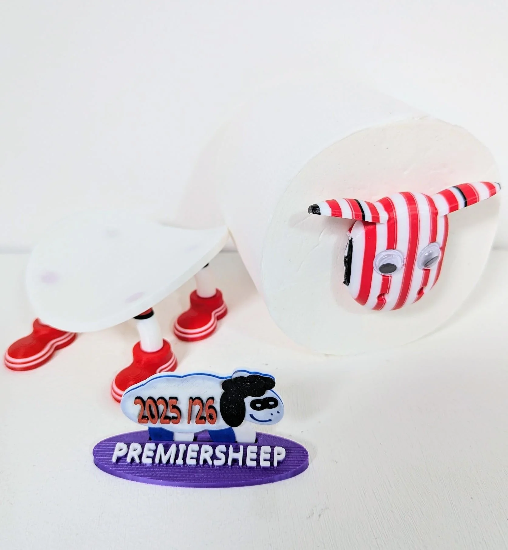 Premiersheep Stoke City Toilet Roll Holder β New 2025/26 Football Fan Gift β Universal Fit β Custom Boot option - Image 9