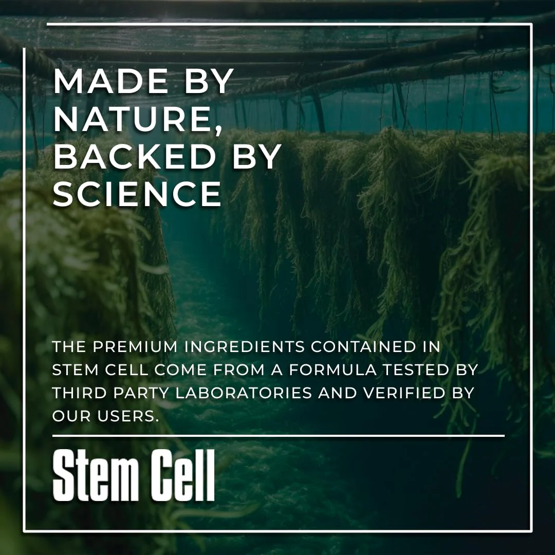 Premium Stem Cell Supplements 1,000mg (240 Caps) – Boost Immunity, Reduce Joint Soreness, Anti-Aging & Longevity with Spirulina & Chlorella - Image 3