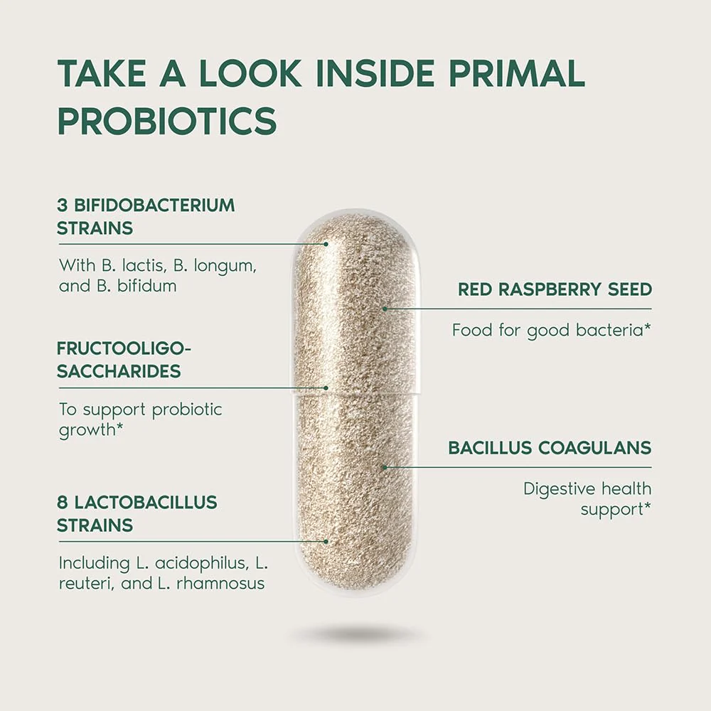 Primal Harvest Probiotics for Women & Men – Daily Probiotic Supplement, 12 Strains, 30 Capsules - Image 4