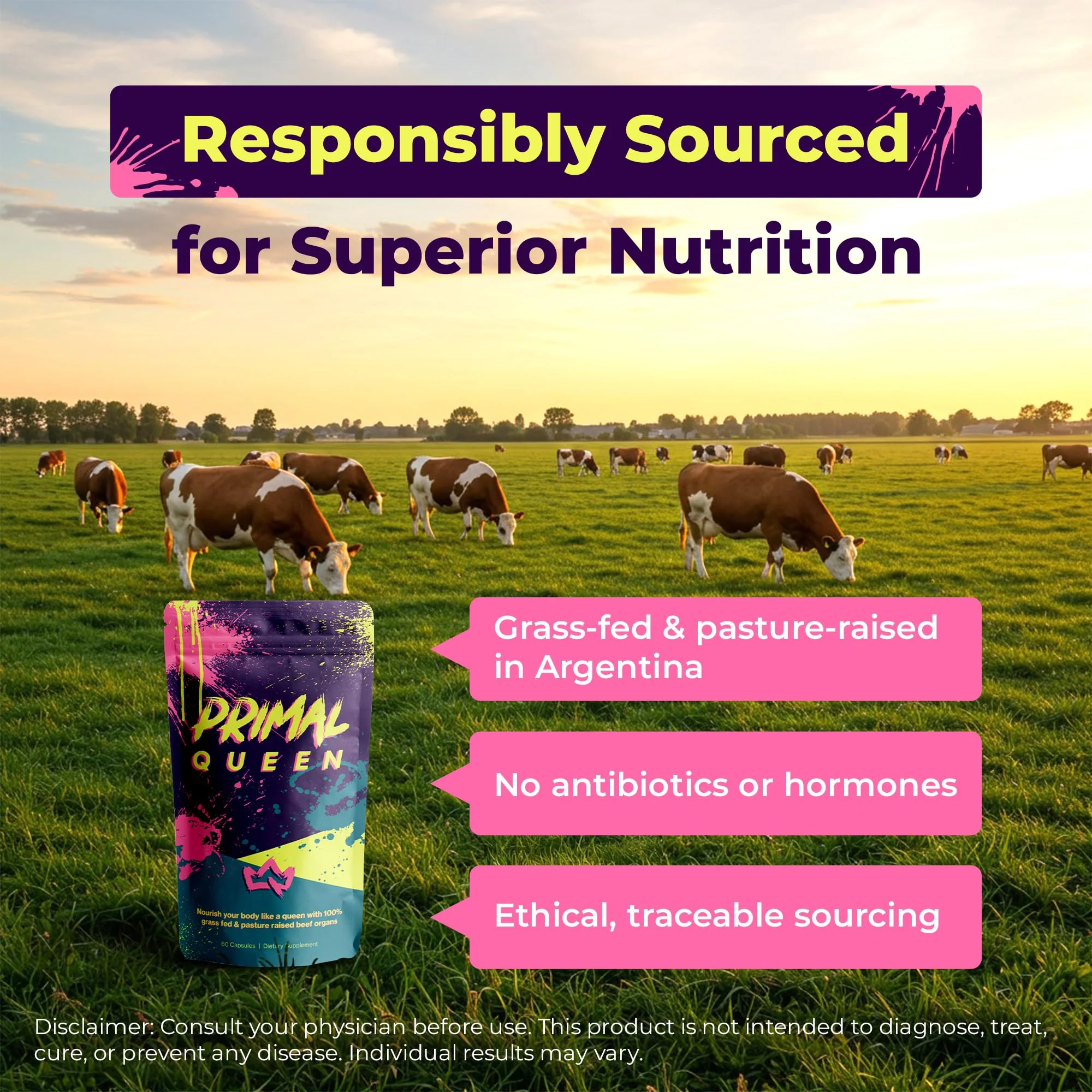 Primal Queen: Female Beef Organ Superfood - Grass-Fed (Liver, Kidney, Heart & More) - Image 8