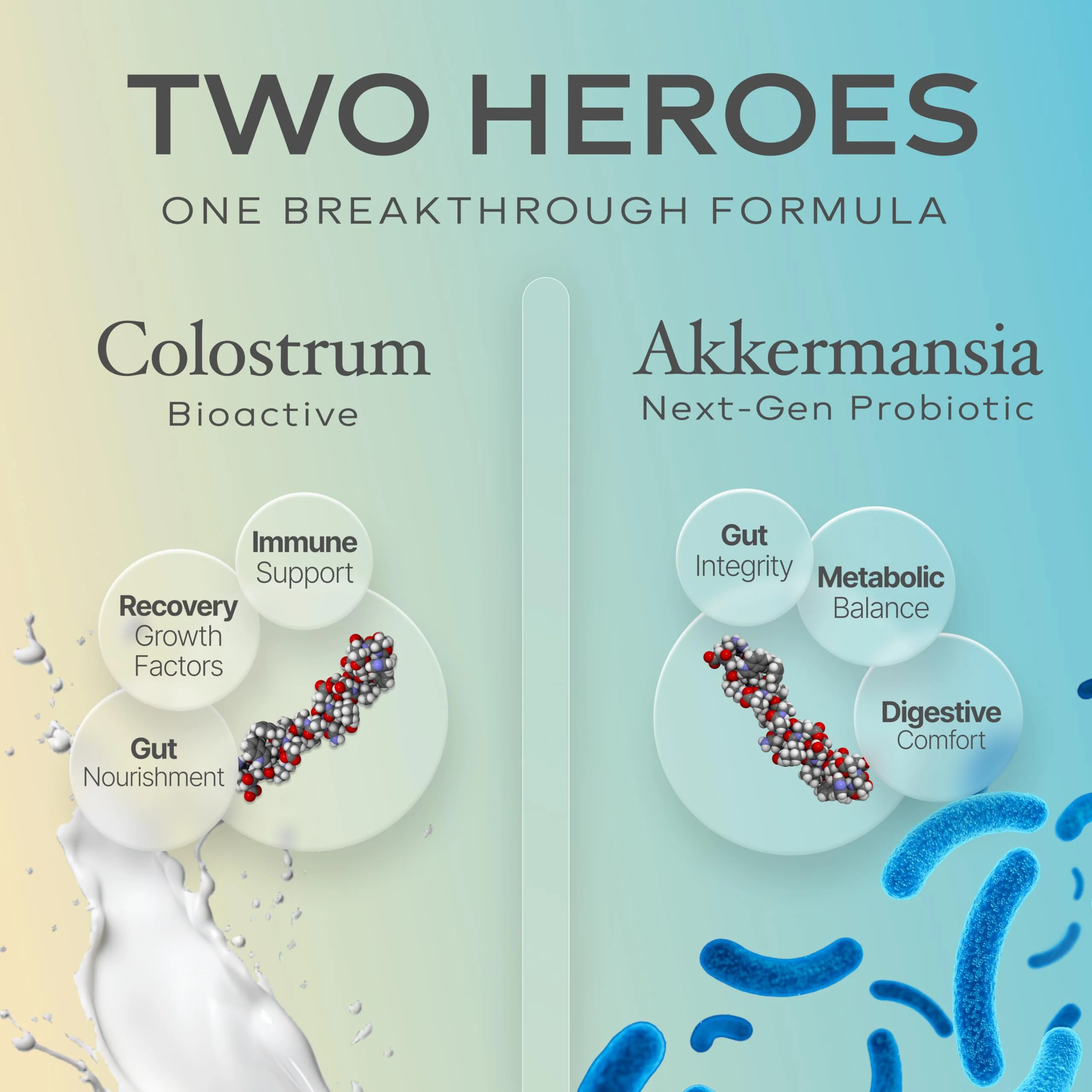Prime Powders Colostrum Powder with Akkermansia | Grass-Fed Bovine, 1B AFU Probiotic | Gut Support, IgG Rich | 120 Servings - Image 3