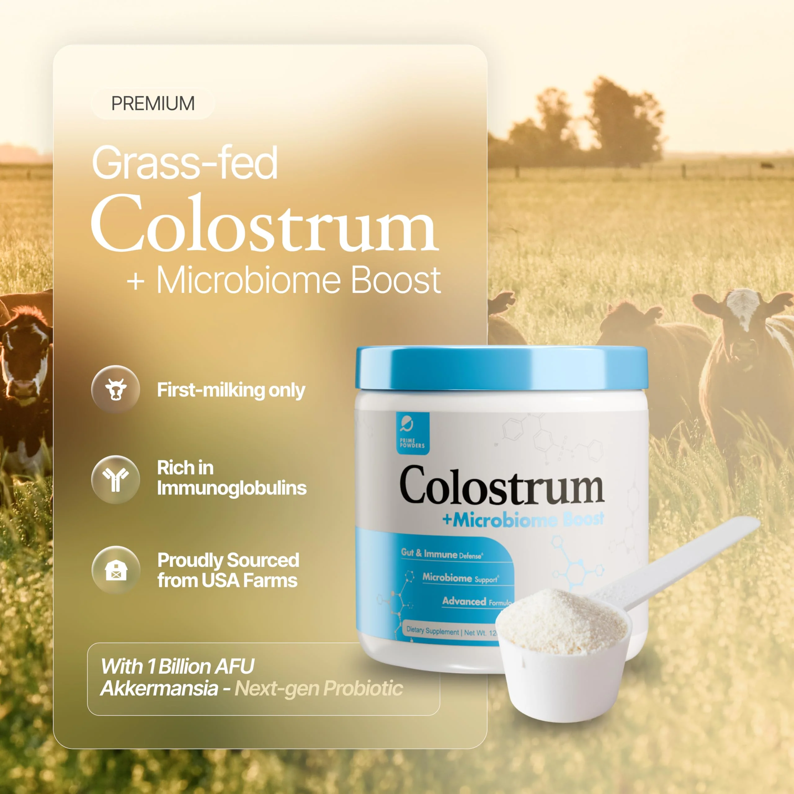 Prime Powders Colostrum Powder with Akkermansia | Grass-Fed Bovine, 1B AFU Probiotic | Gut Support, IgG Rich | 120 Servings - Image 9