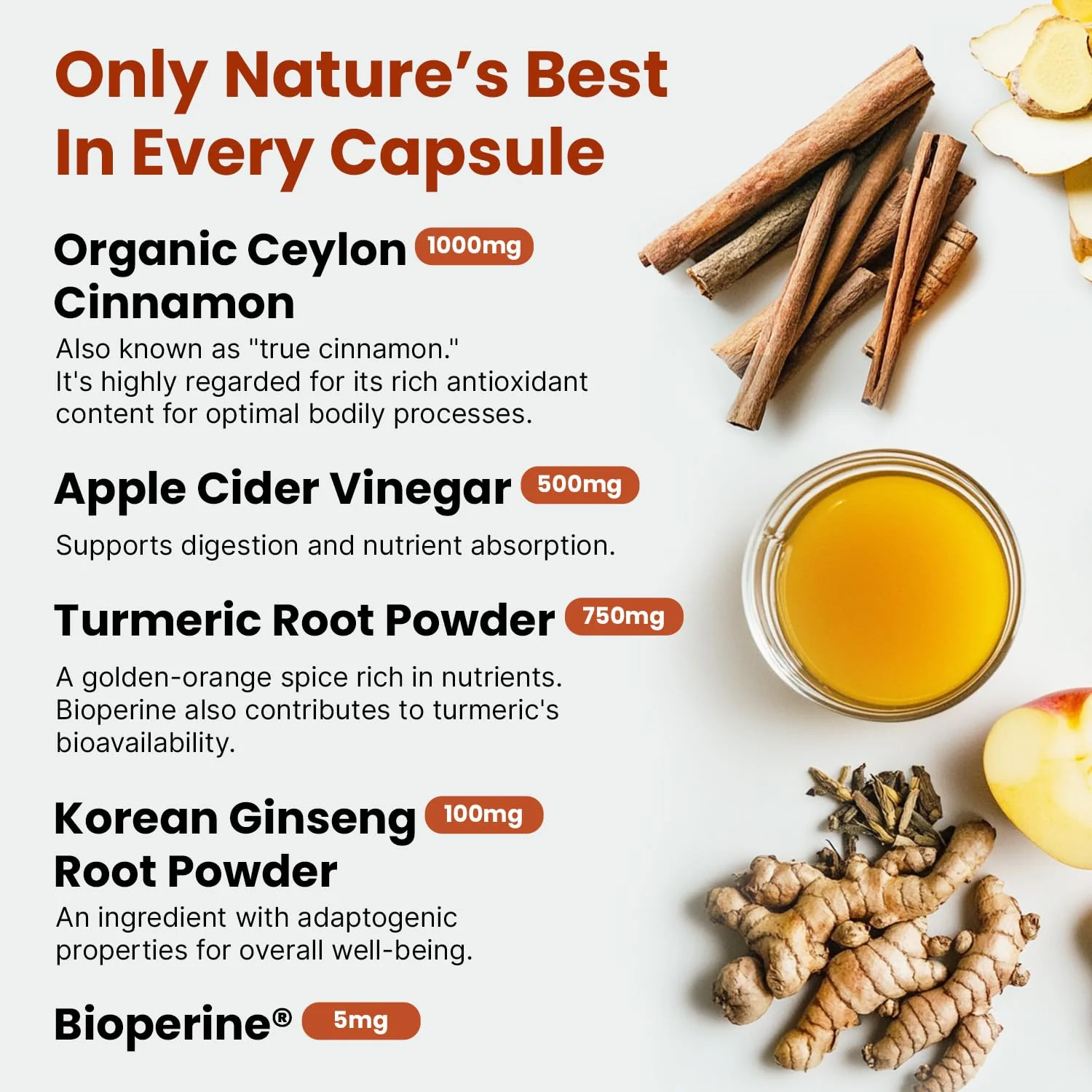 PrimeMD 5-in-1 Ceylon Cinnamon Capsules 2355mg with Apple Cider Vinegar, Turmeric, Panax Ginseng & Bioperine (Pack of 2, 120 Count) - Image 12