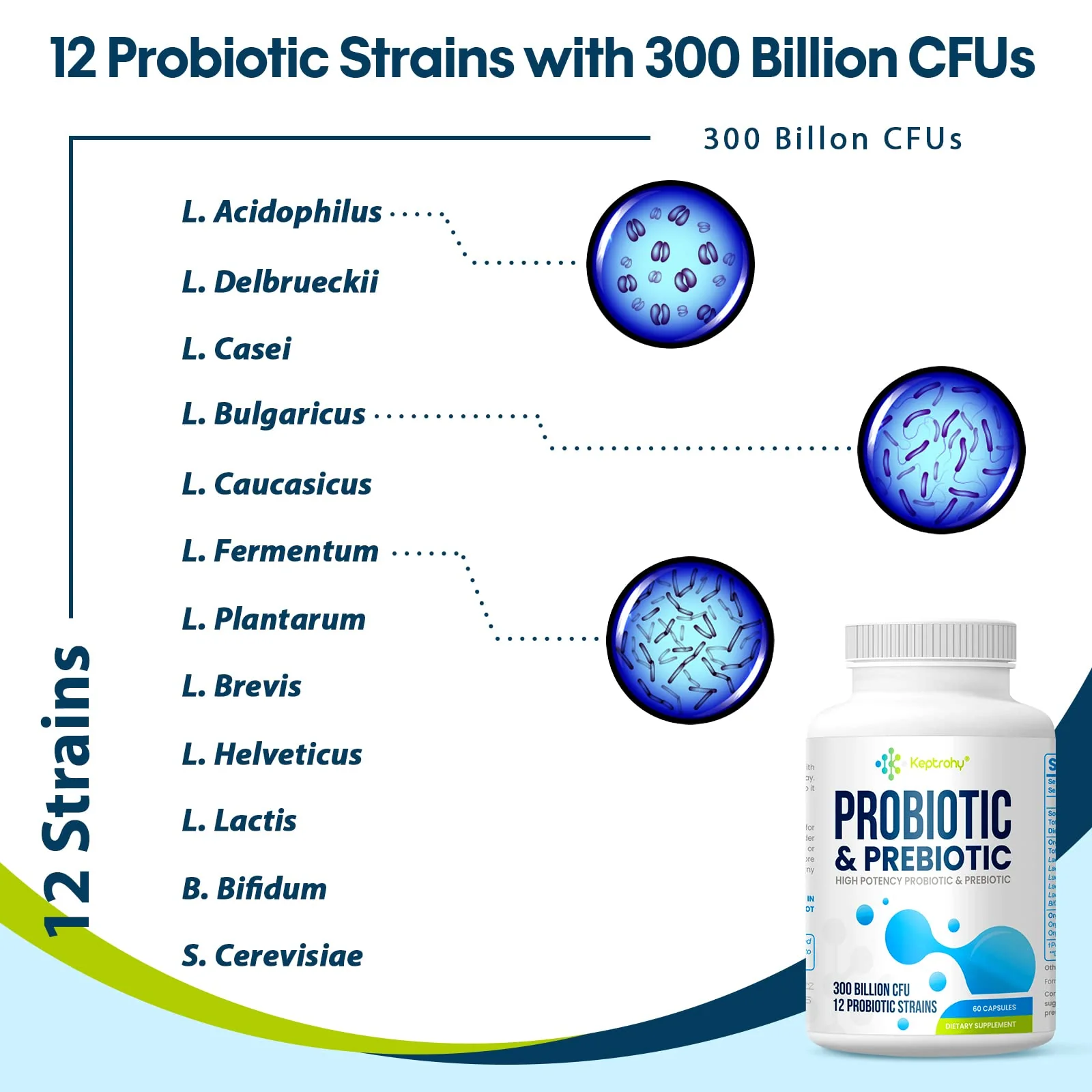 Probiotics for Women & Men | 300B CFU + Organic Prebiotics | 120 Caps - Image 6