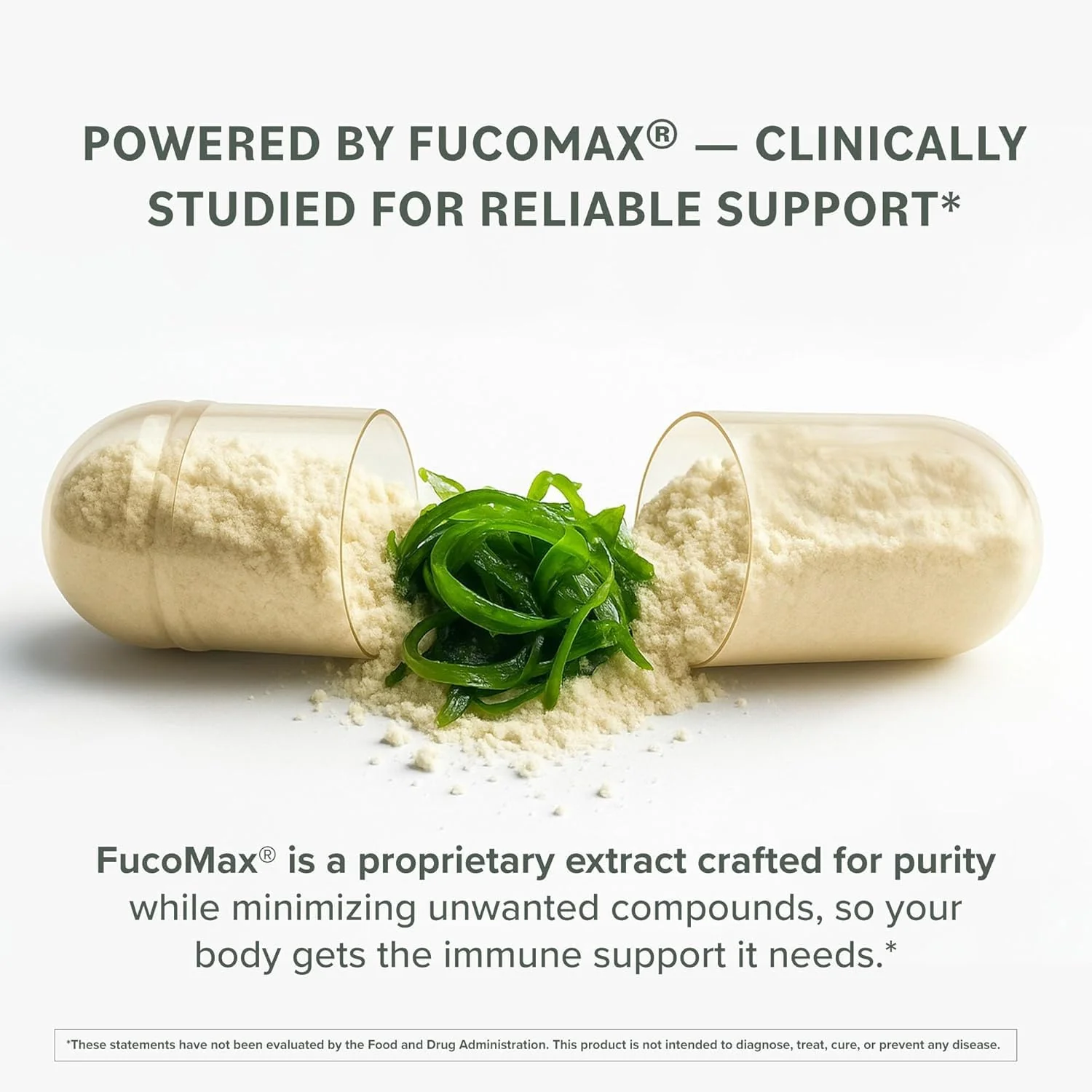 Prominent Nutrition Fucoidan Gut Health & Immune Support Supplement – 250mg, 60 Count – Premium Brown Seaweed Extract – 2 Pack - Image 4