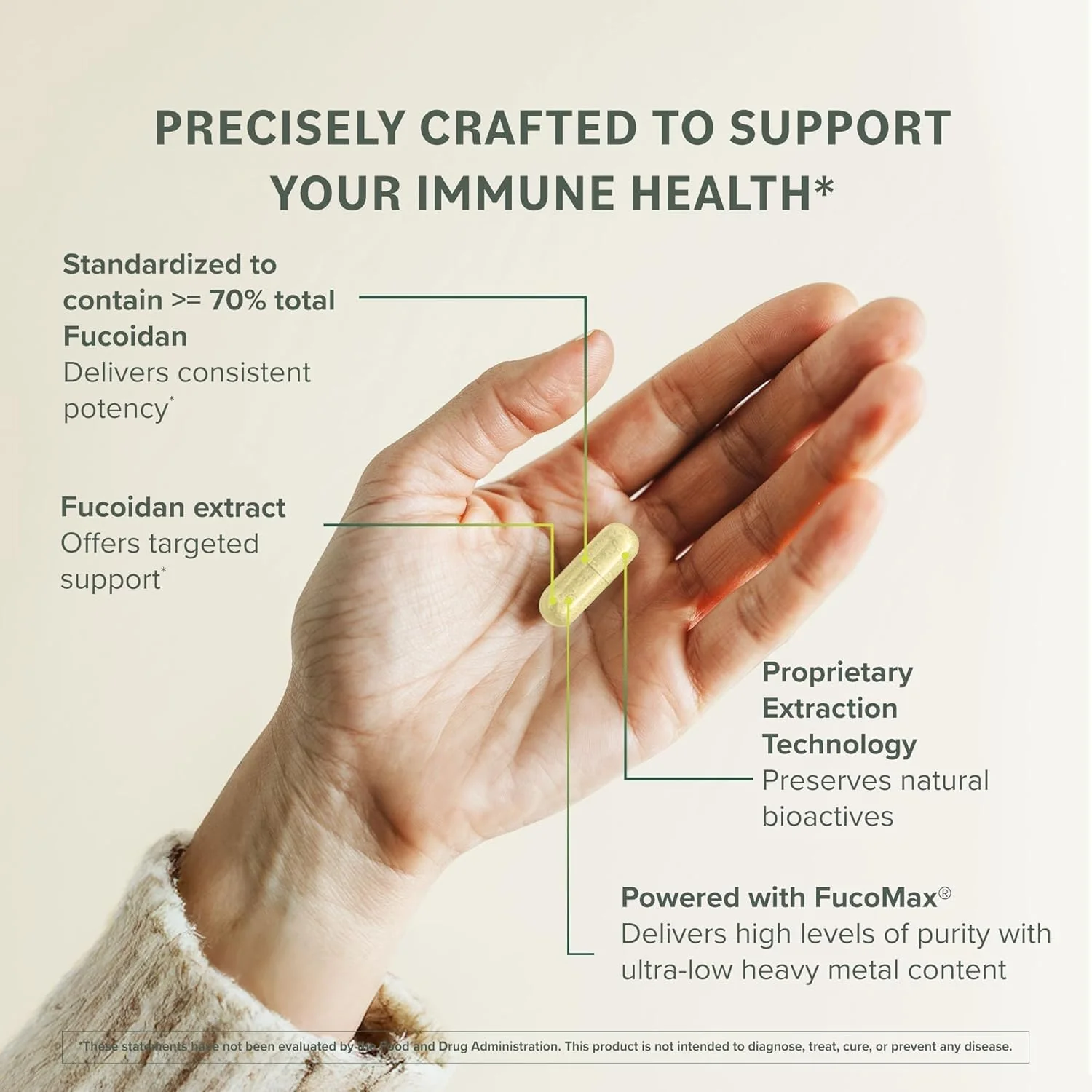 Prominent Nutrition Fucoidan Gut Health & Immune Support Supplement – 250mg, 60 Count – Premium Brown Seaweed Extract – 2 Pack - Image 5