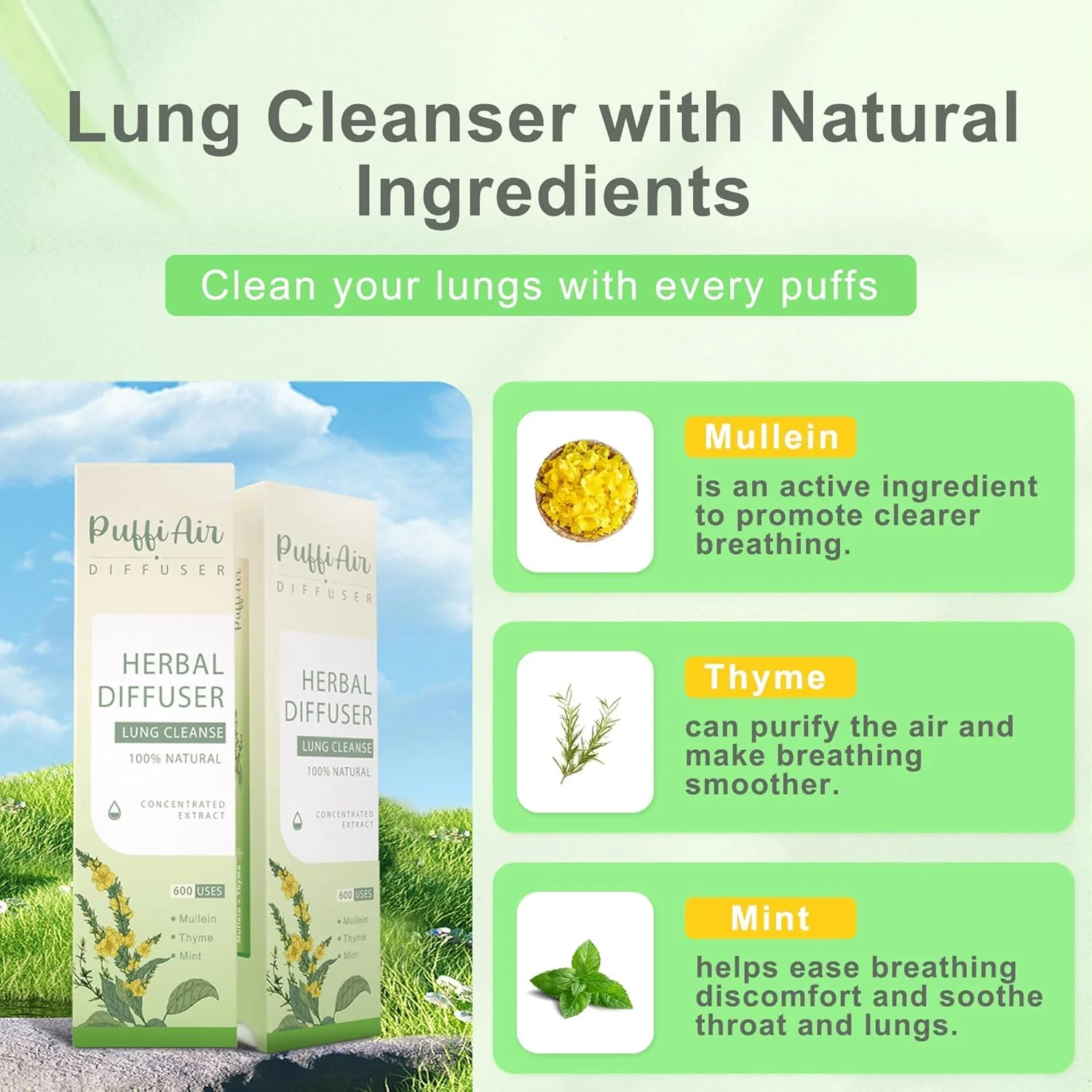 PUFFIAIR Inner Balance Duo Herbal Diffuser Pen Set | Mullein Cleanse Inspired Blend for Daily Reset | Green Purple | 2 Count - Image 10