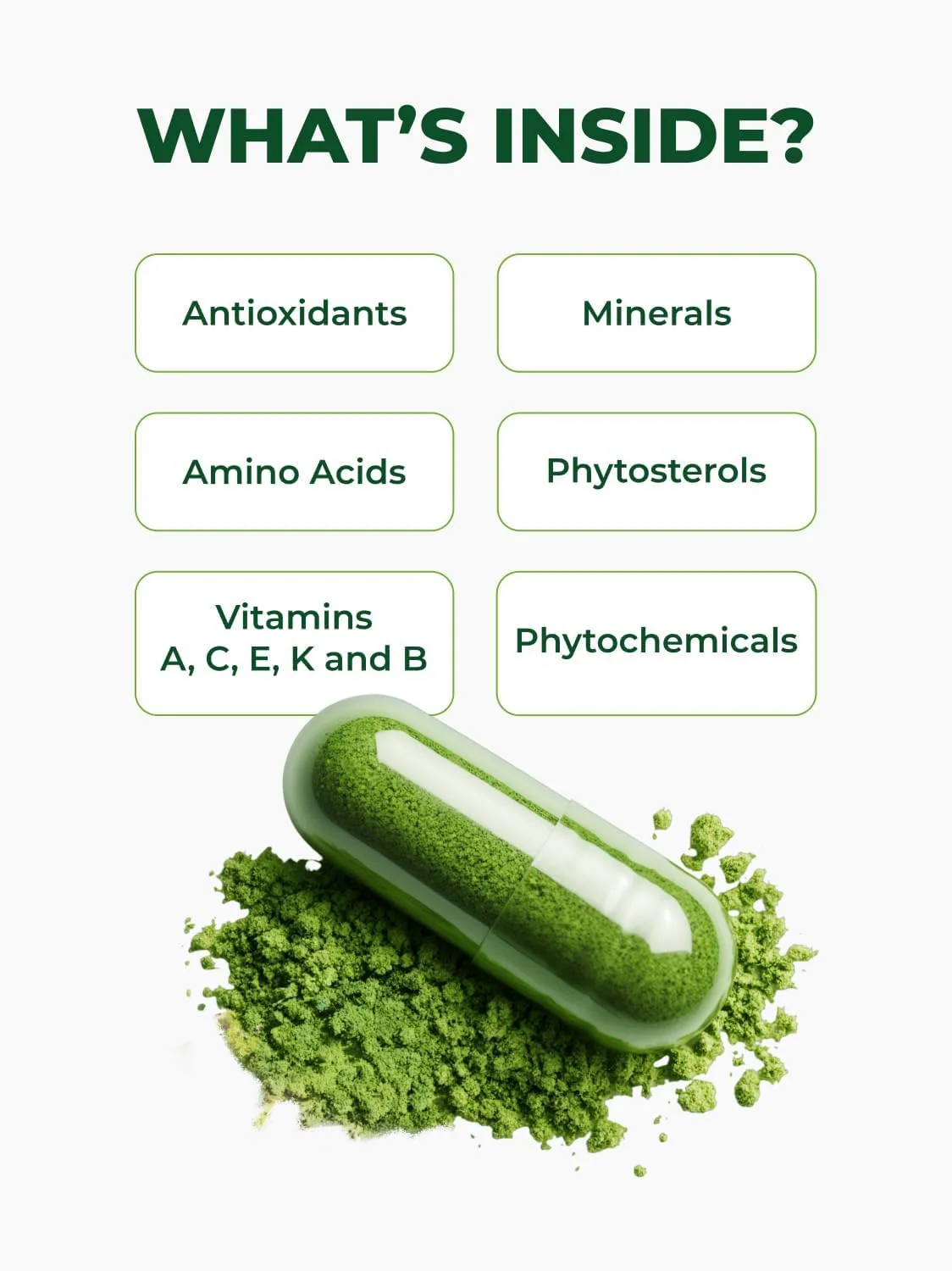 PURA VIDA MORINGA Capsules — Single Origin Organic Moringa Powder, 120 Count (500 mg) — Pack of 2 - Image 7