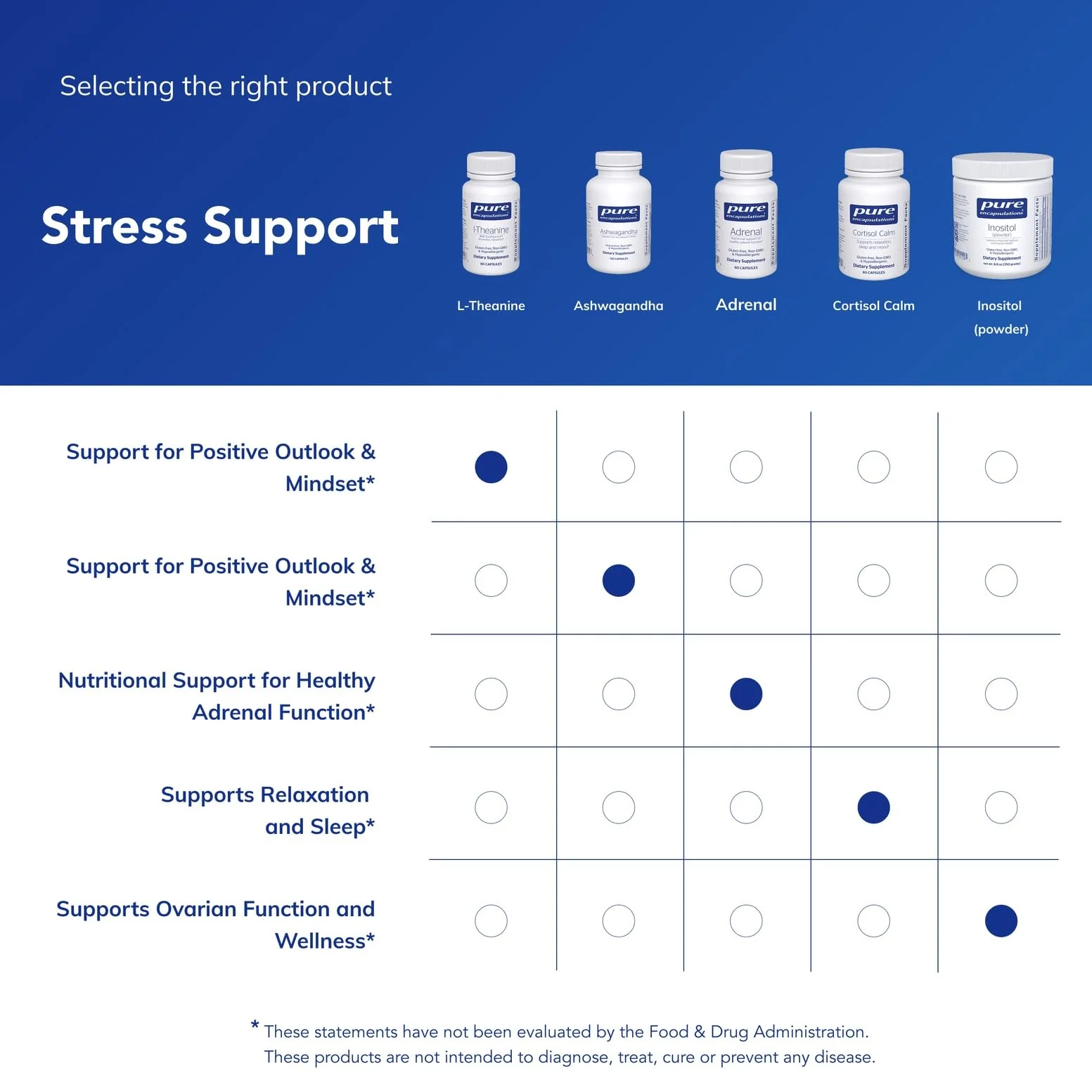 Pure Encapsulations L-Theanine — Relaxation Support Supplement | 60 Capsules - Image 7
