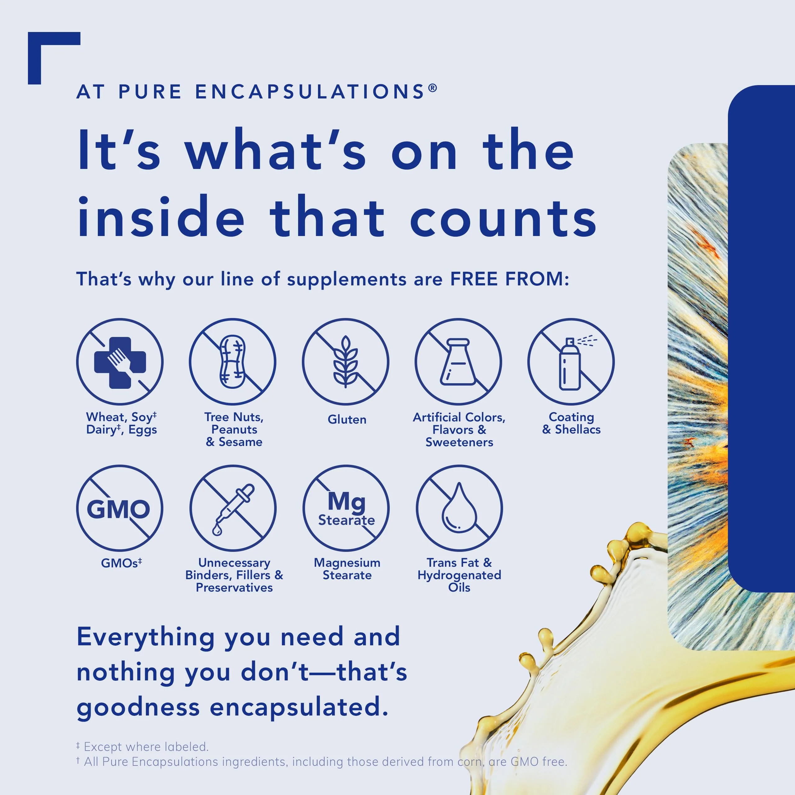 Pure Encapsulations Rapid Calm – Stress & Sleep Support with Zembrin & Suntheanine - Image 13
