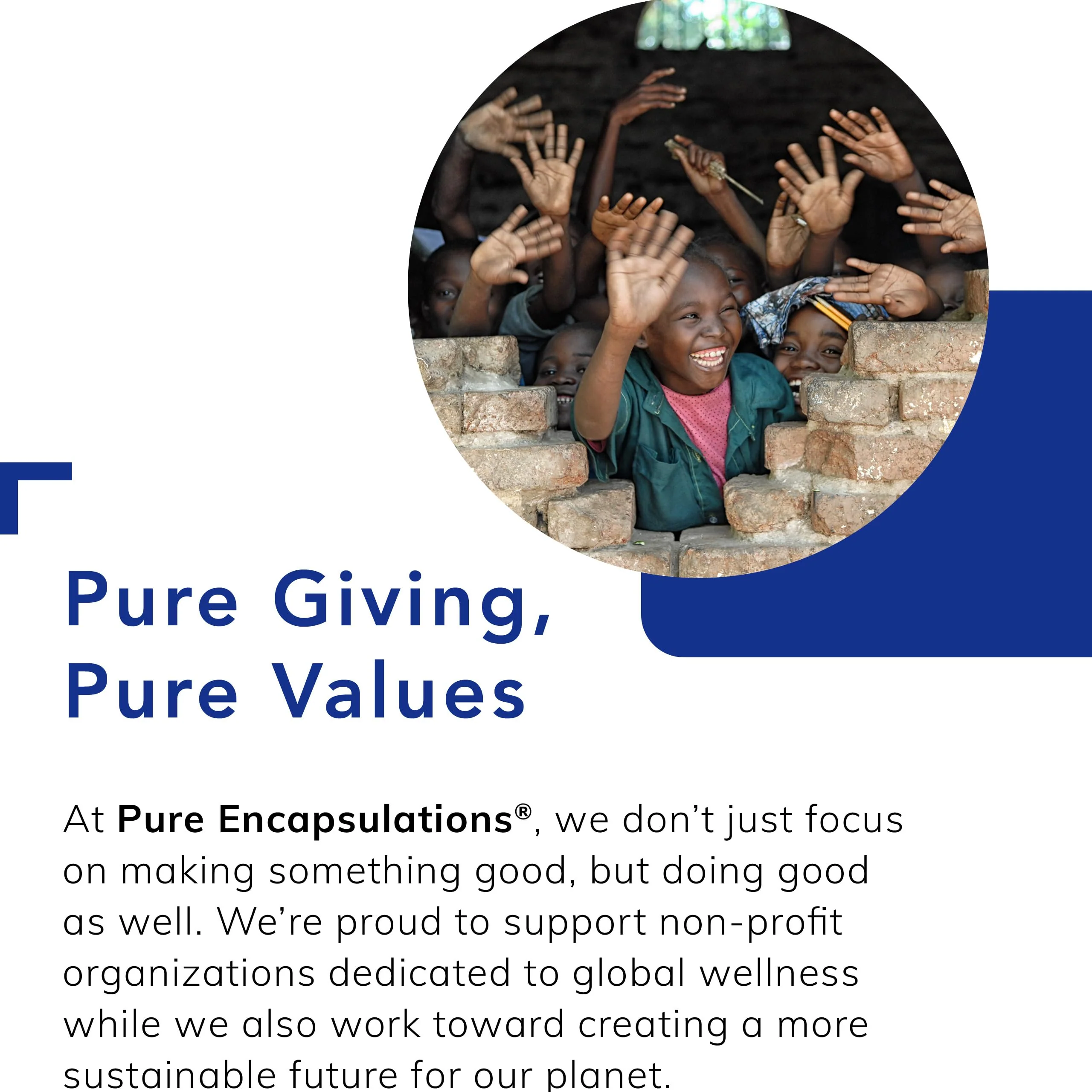 Pure Encapsulations Rapid Calm – Stress & Sleep Support with Zembrin & Suntheanine - Image 16