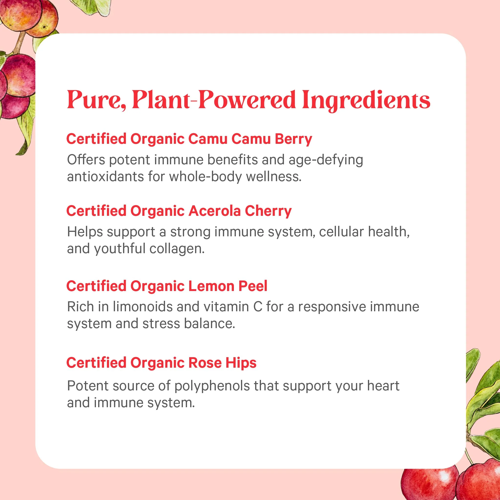 Pure Radiance C – Organic Vitamin C Capsules (90 Count) | Whole Food Vitamin C from Camu Camu & Acerola - Image 5